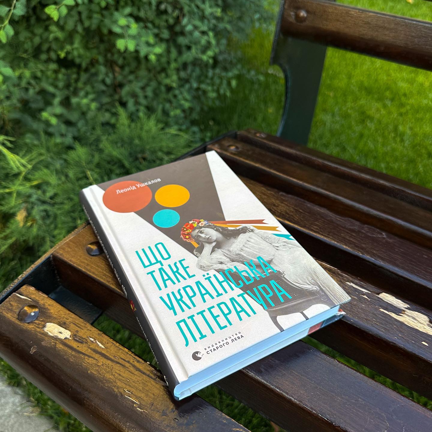 Книга "Що таке українська література" на лавоччі біля газону