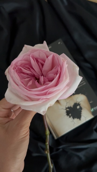 Жінки, які кохають до нестями: як знайти гармонію в стосунках і навчитися любити себе Жінки, які кохають до нестями: як знайти гармонію в стосунках і навчитися любити себе