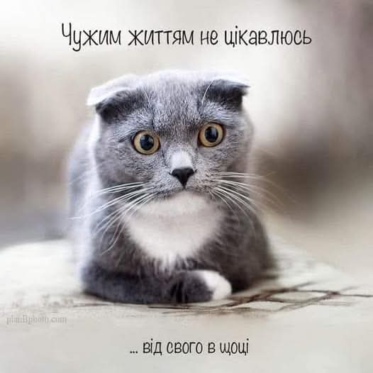 Книгомрії 📚