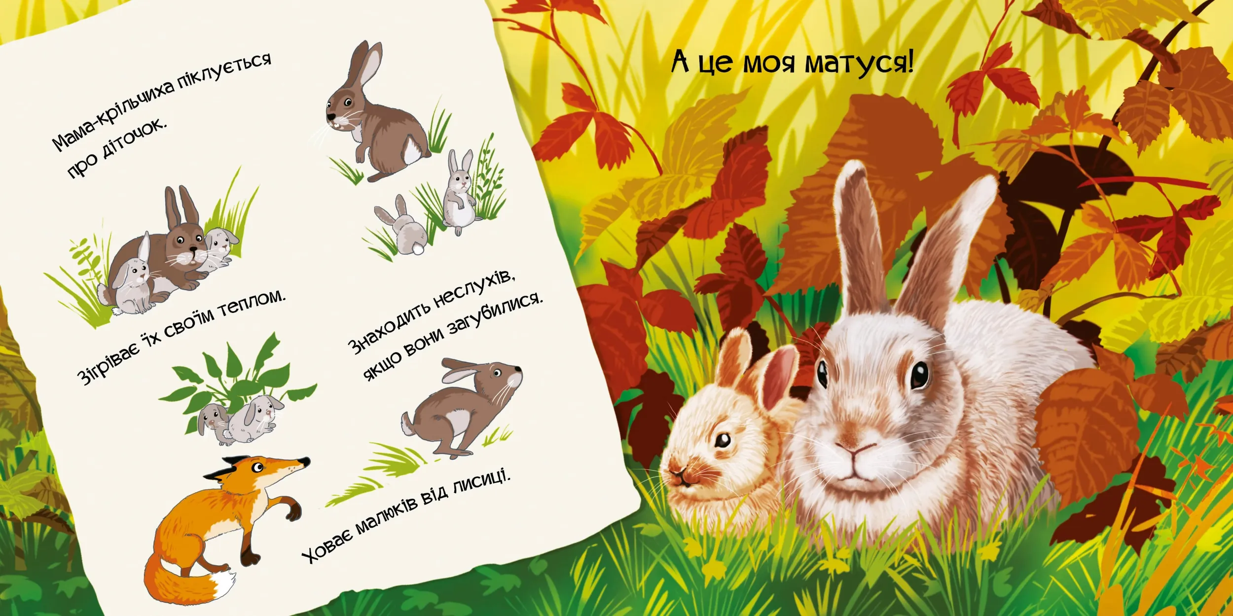 Знайомся, я кроленя