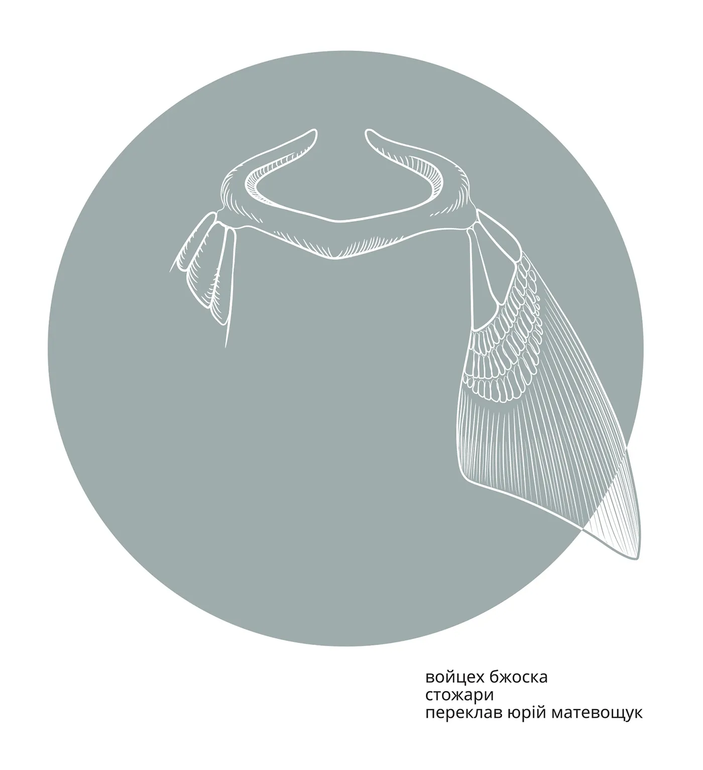 Войцех Бжоска. Стожари