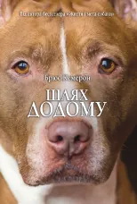 Шлях додому