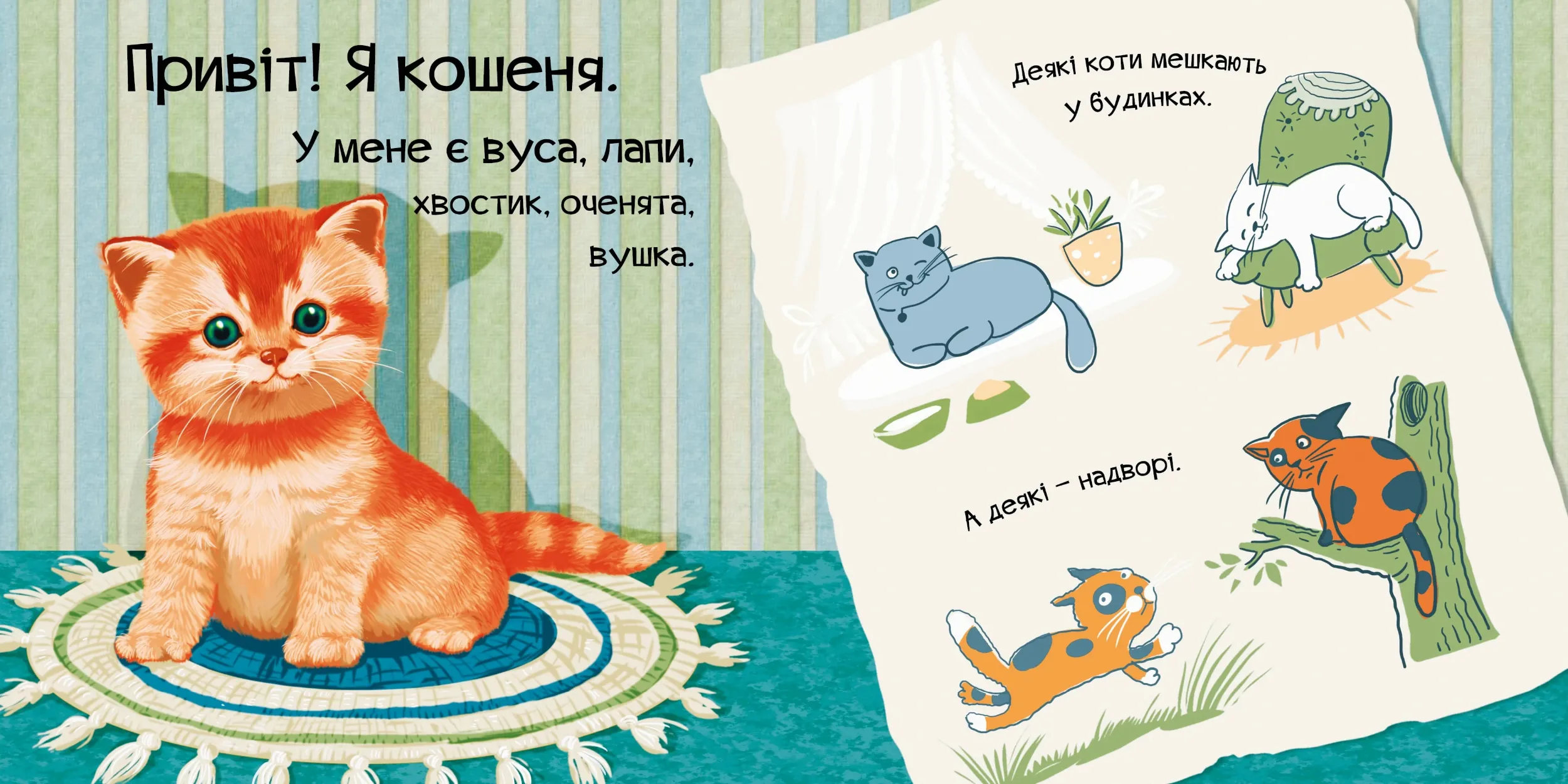 Знайомся, я кошеня. Автор — Жученко Марія. 