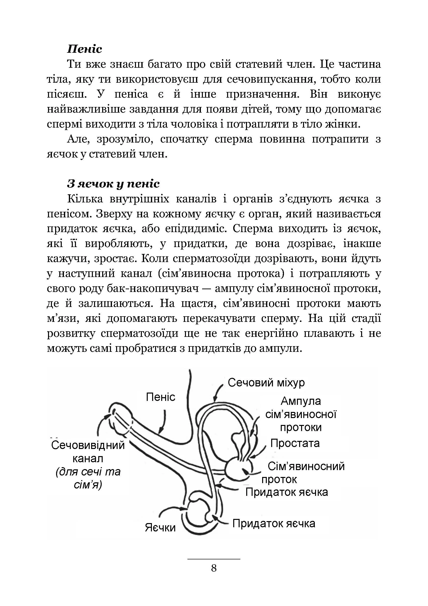 Хлопцям про важливе. Усе, що ти хотів знати про дорослішання, зміни тіла, стосунки та багато іншого. Автор — Карен Гравел за участю Ніка і Хави Кастро. 