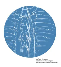 Великі та найбільші речі