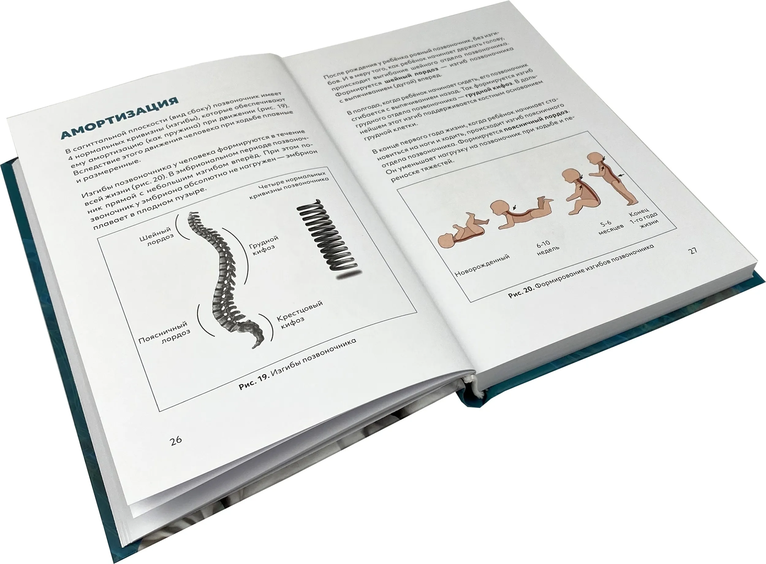 Здоровая спина. Автор — Владимир Голод. 