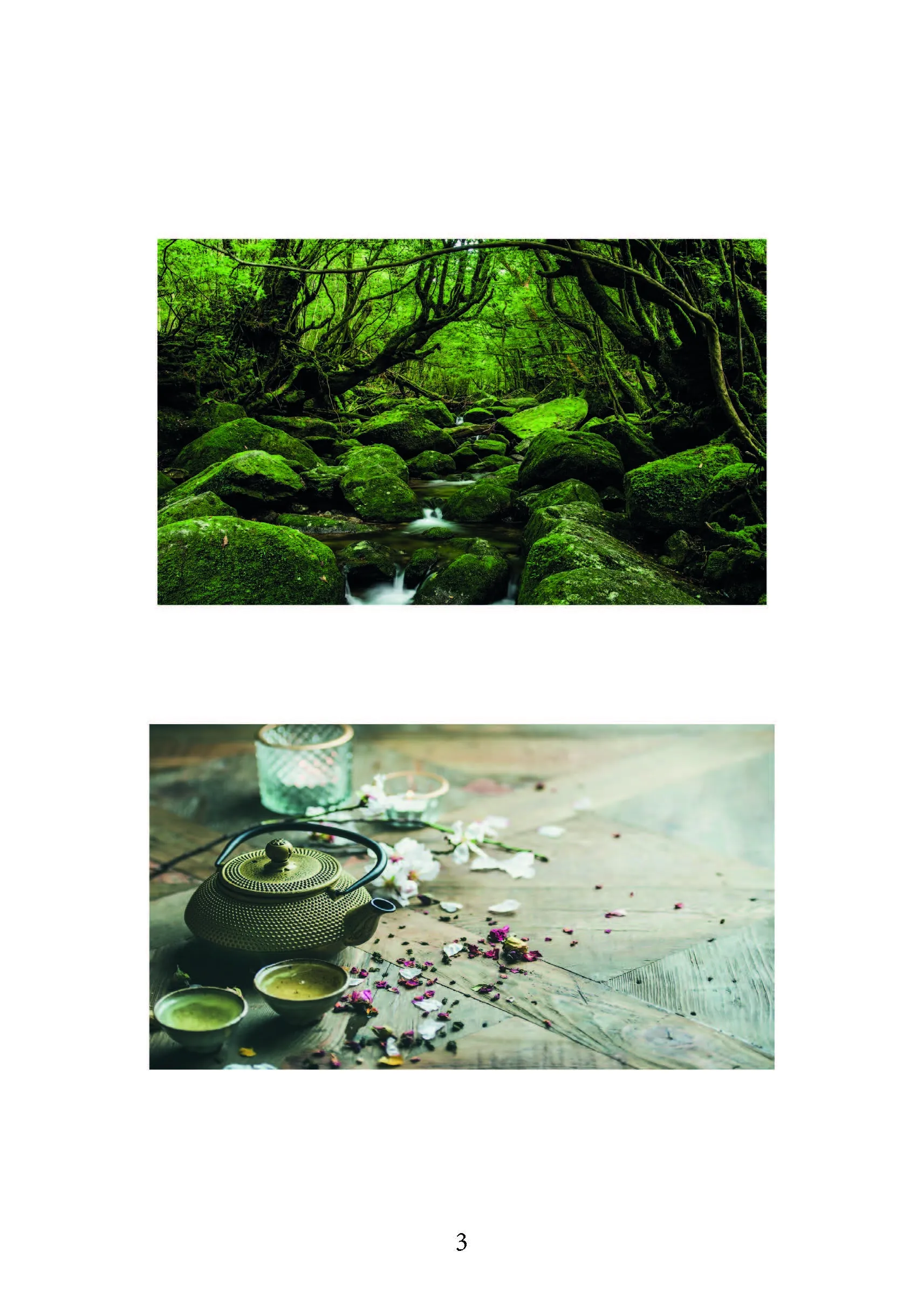 Ітіго Ітіє. Японське мистецтво бути щасливим тут і зараз