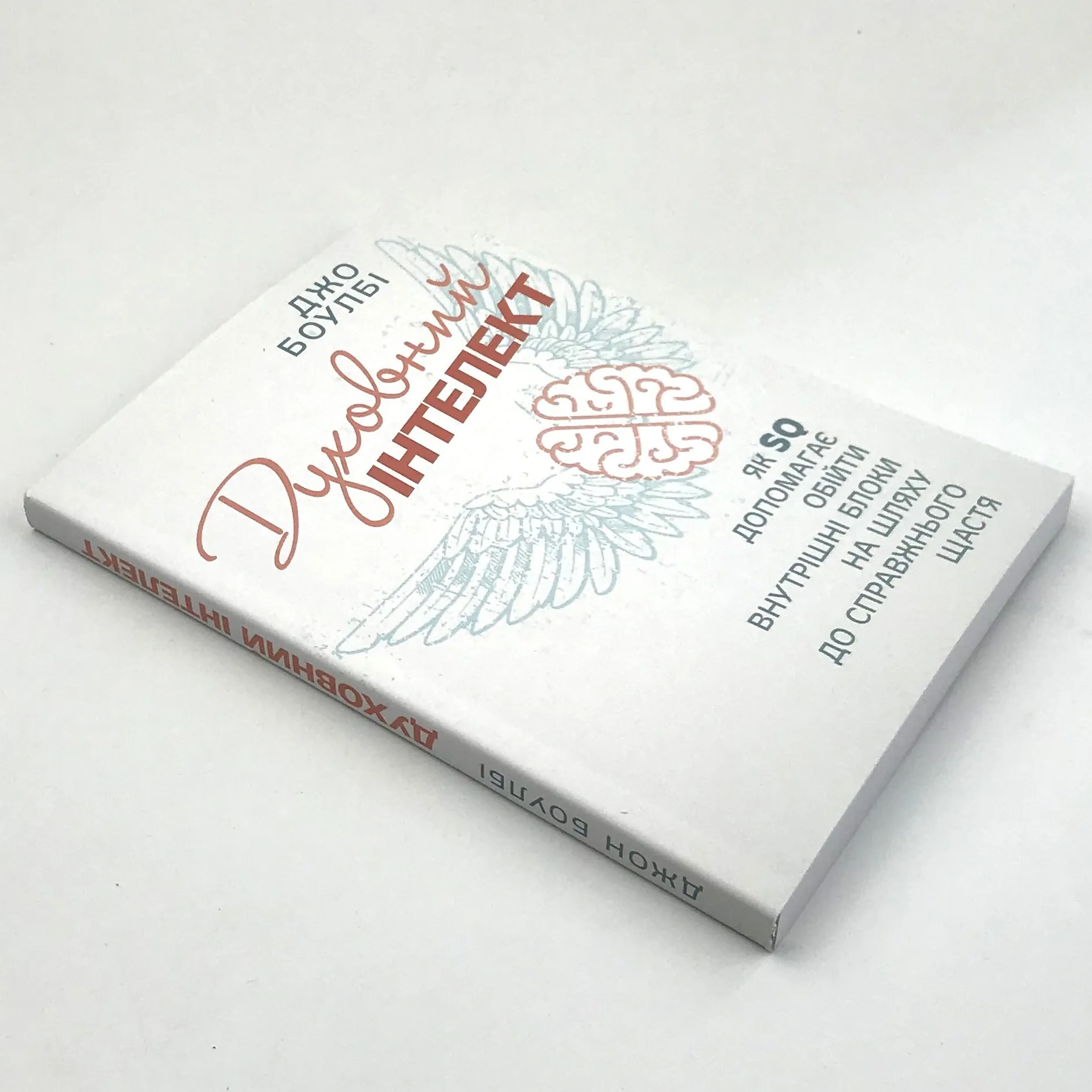 Духовний інтелект. Як SQ допомагає обійти внутрішні блоки на шляху до справжнього щастя