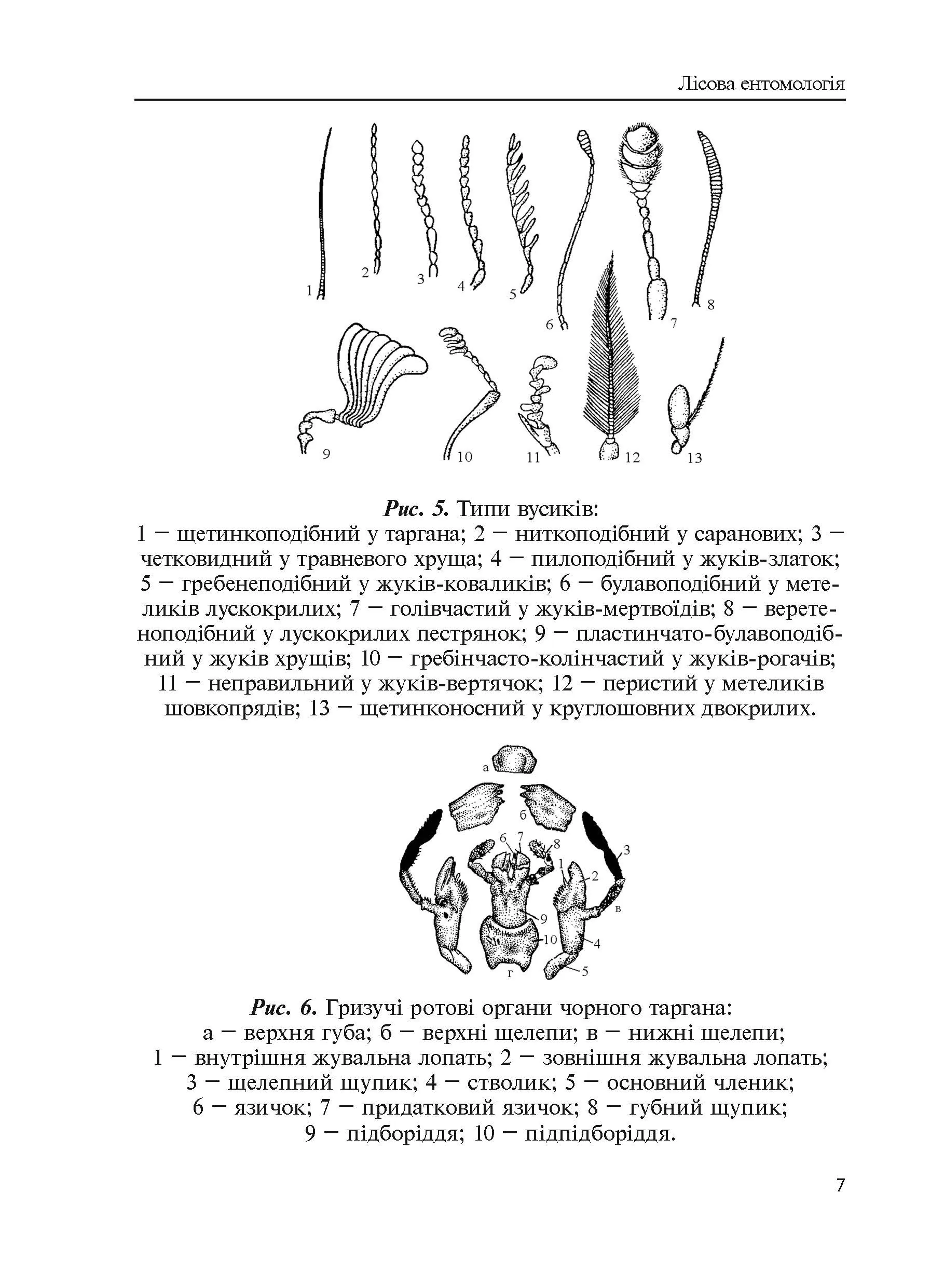 Лісова ентомологія. Автор — Марченко А.Б.. 