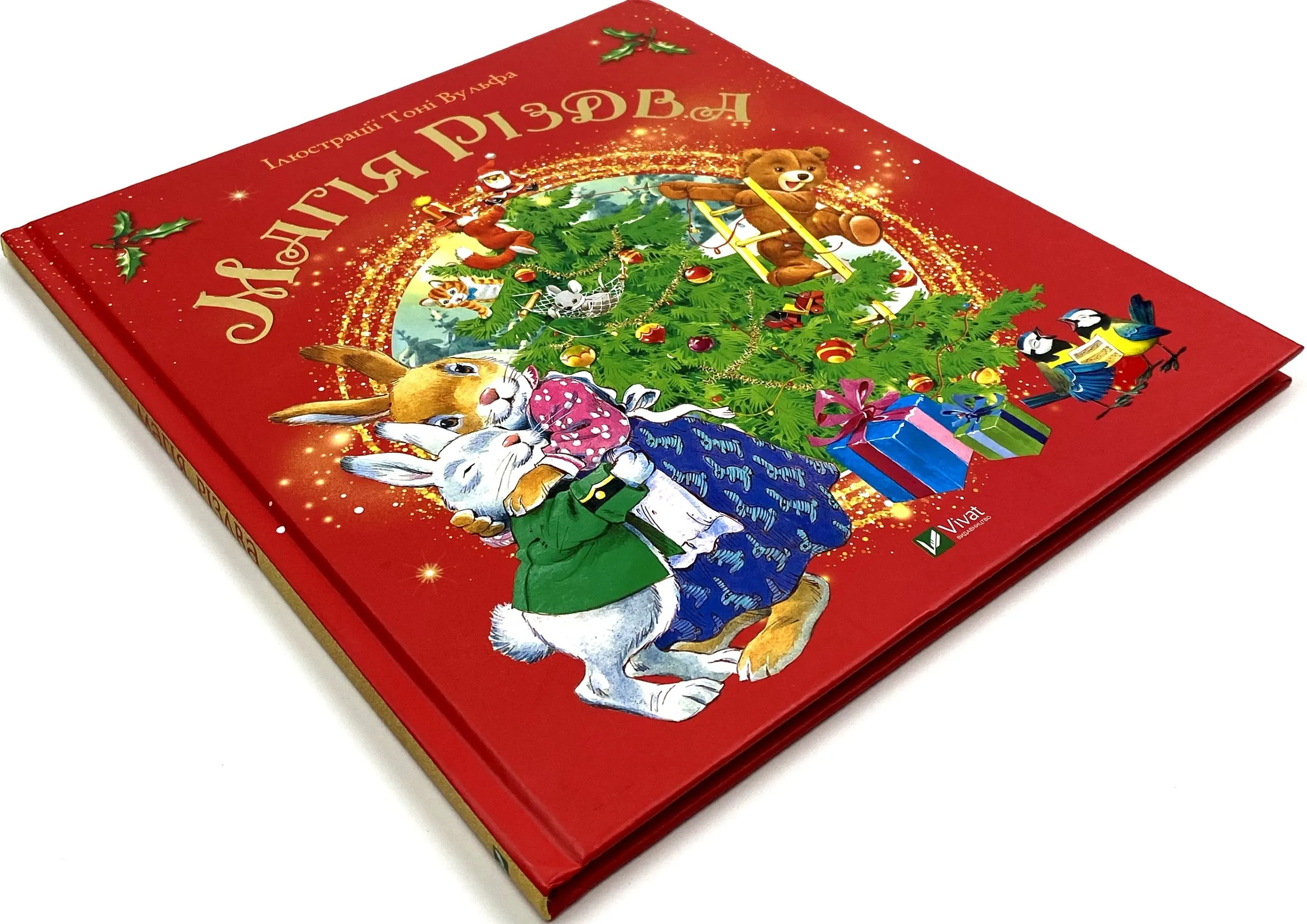 Магія Різдва. Автор — Д’Ачилле Сільвія. 