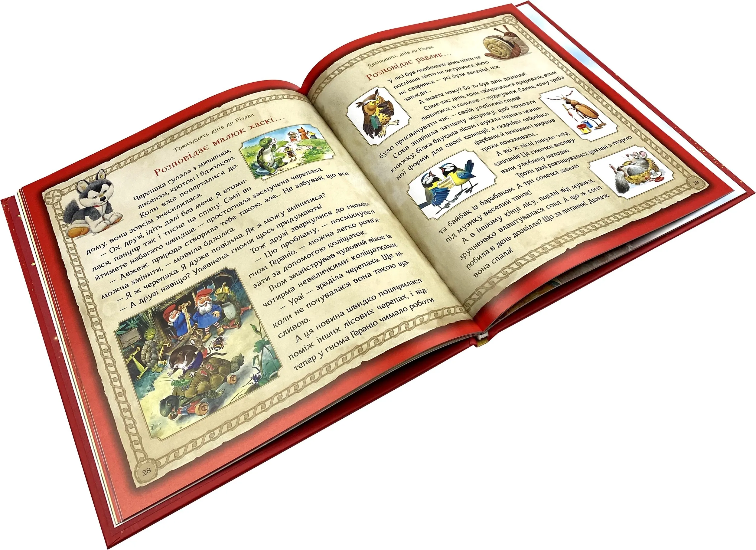 Магія Різдва. Автор — Д’Ачилле Сільвія. 