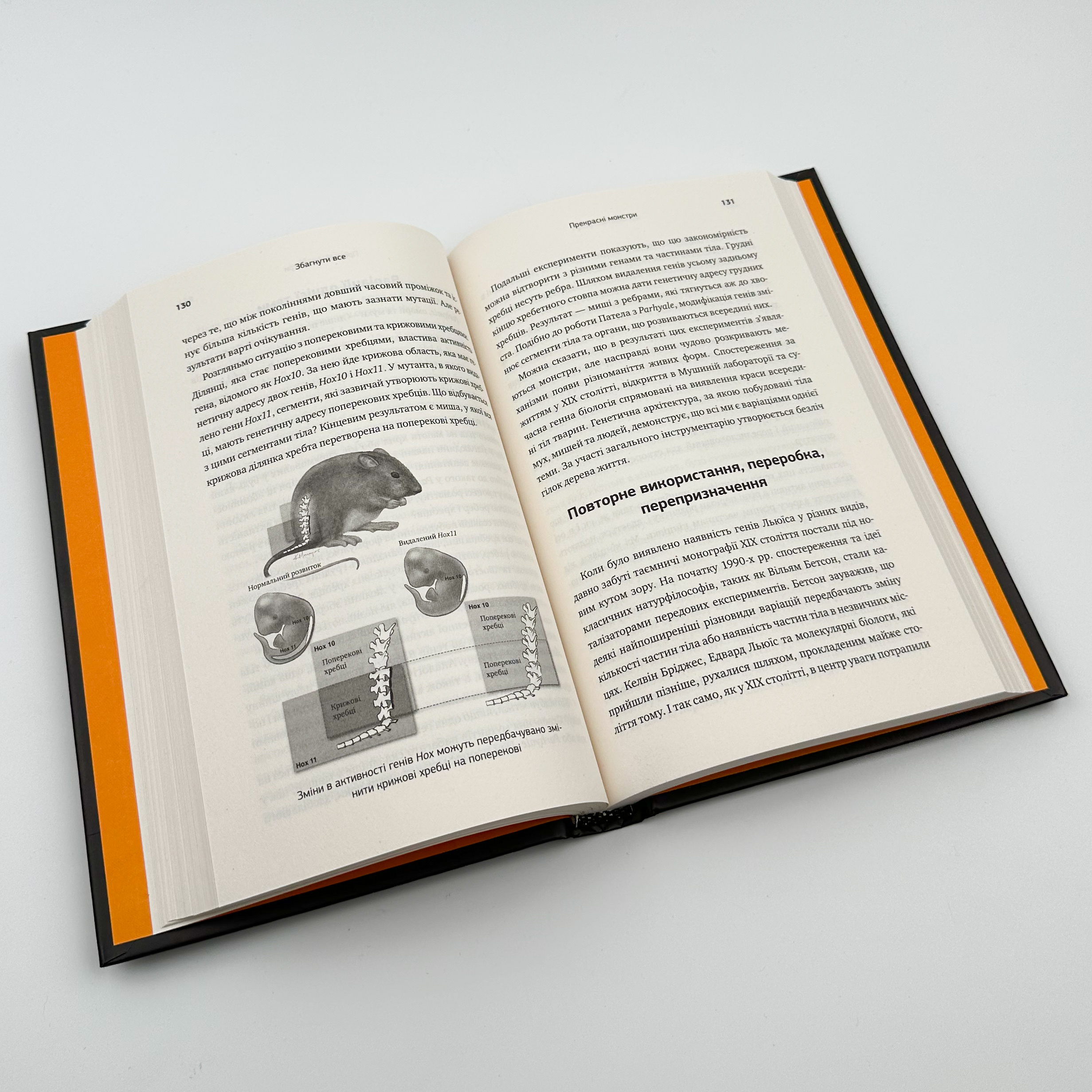 Збагнути все. Автор — Ніл Шубін. 