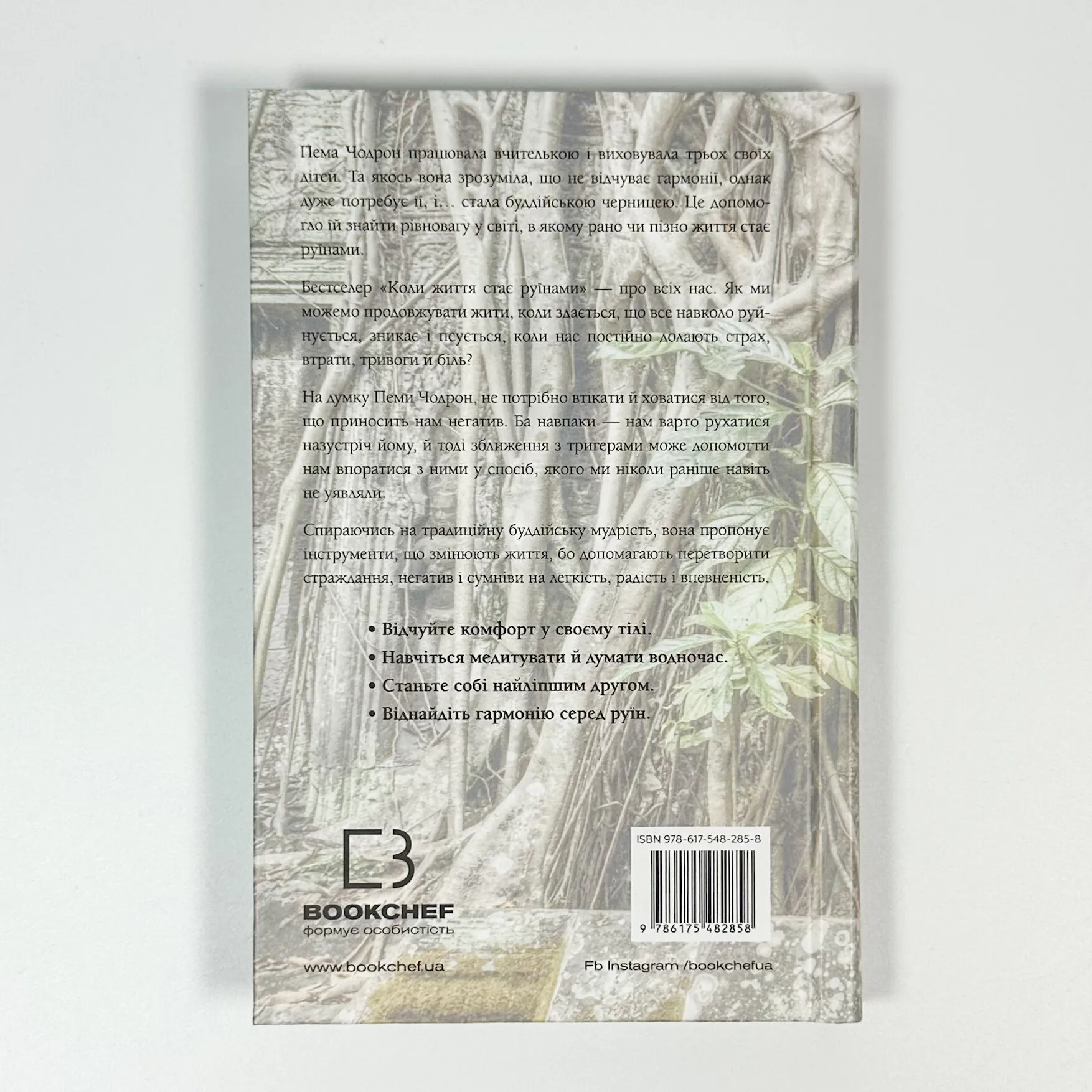 Коли життя стає руїнами. Дієві поради для важких часів. Автор — Пема Чодрон. 