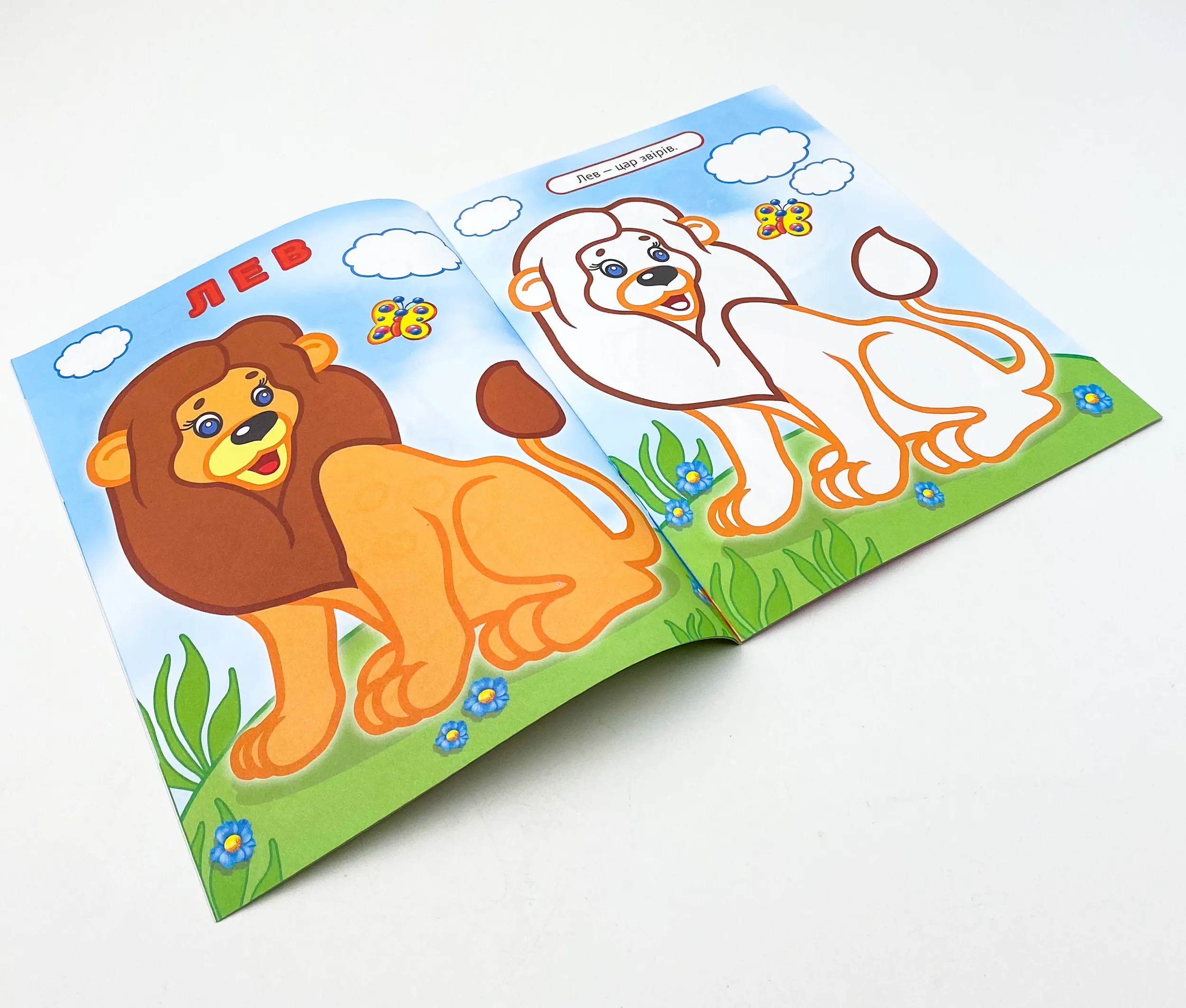 Упізнай і розфарбуй(Мавпочка і жираф). Автор — Рід Барбара. 