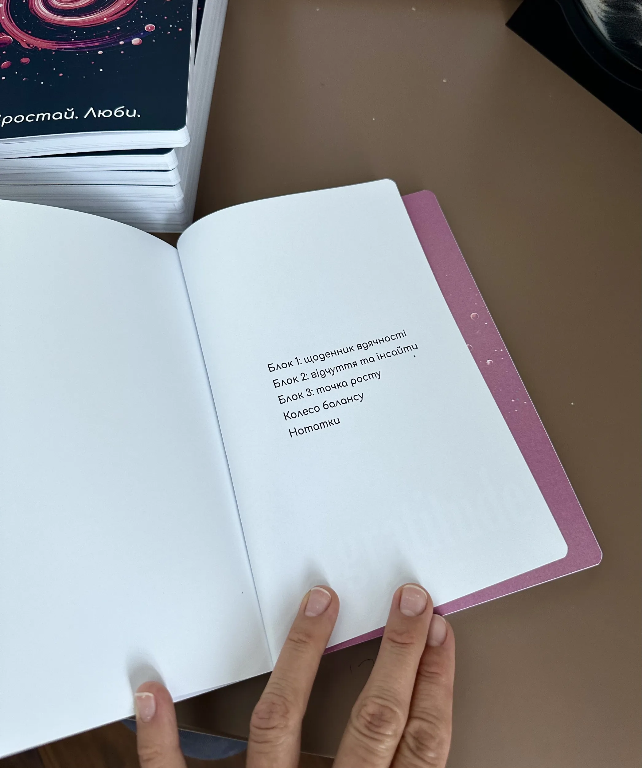 Мотиваційний блокнот "Мрій. Зростай. Люби". Автор — Алла Чорнолуцька. 