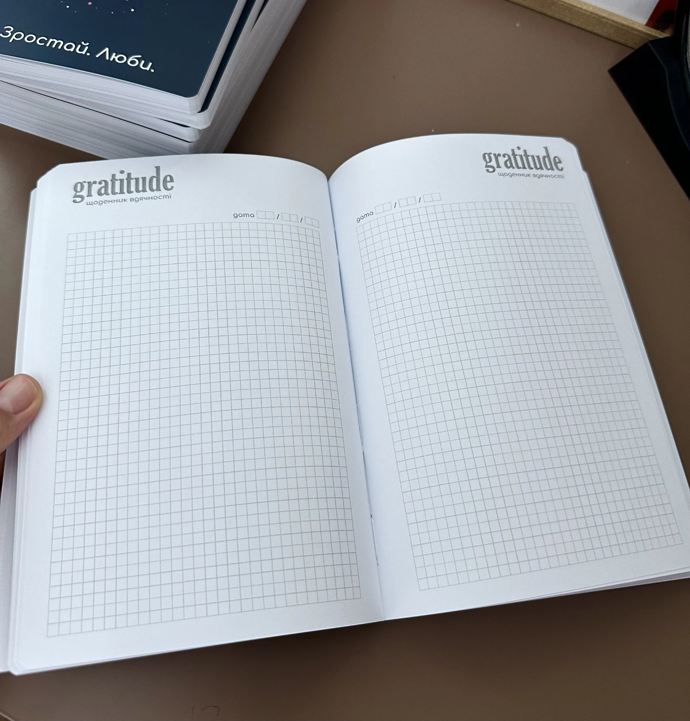 Мотиваційний блокнот "Мрій. Зростай. Люби". Автор — Алла Чорнолуцька. 