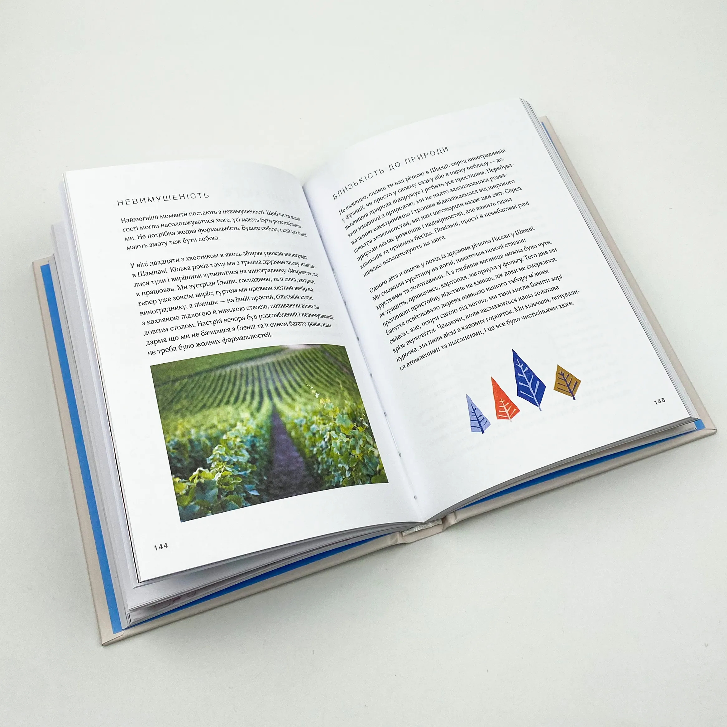 Маленька книга хюґе. Як жити добре по-данськи. Автор — Мік Вікінг. 