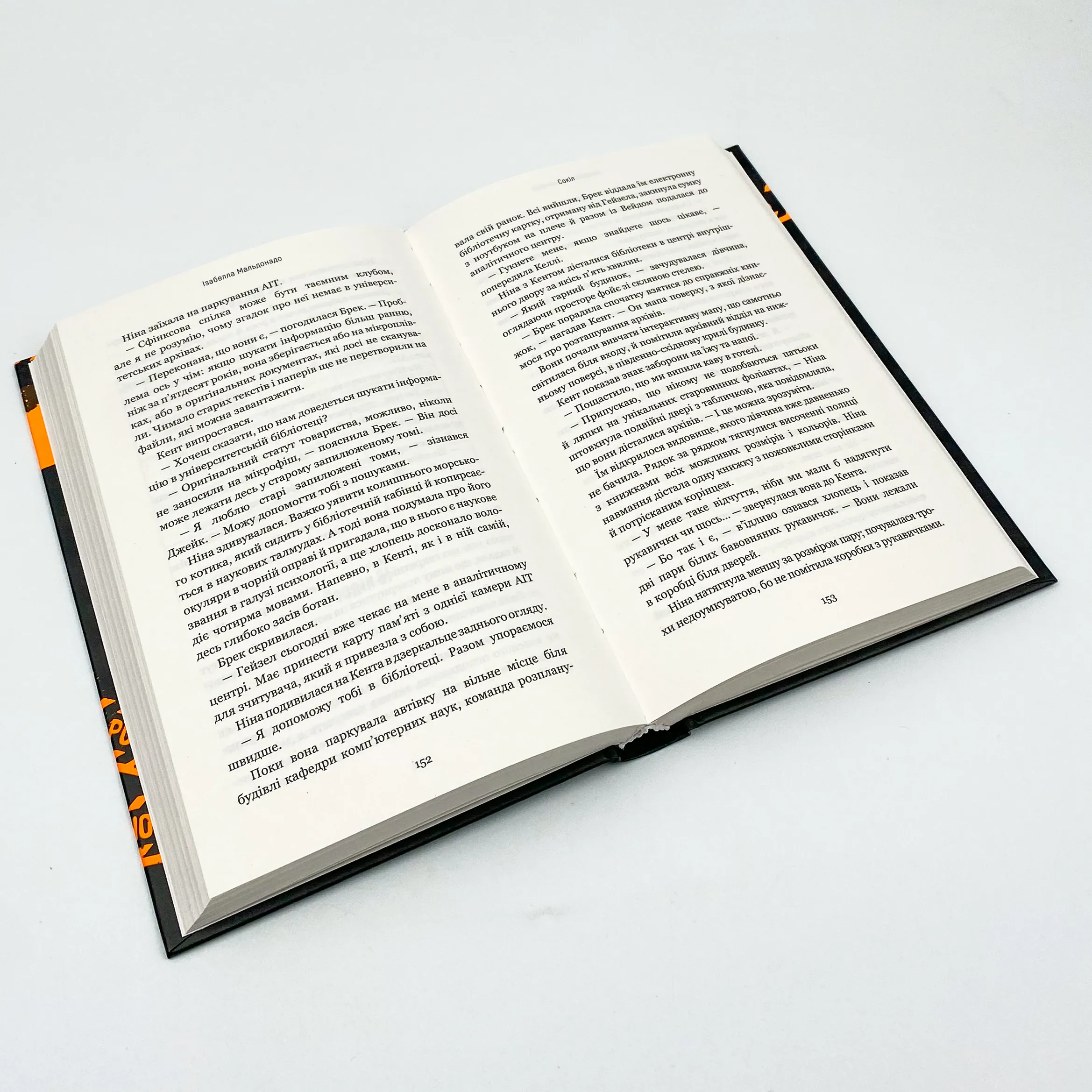 Сокіл. Автор — Ізабелла Мальдонадо. 