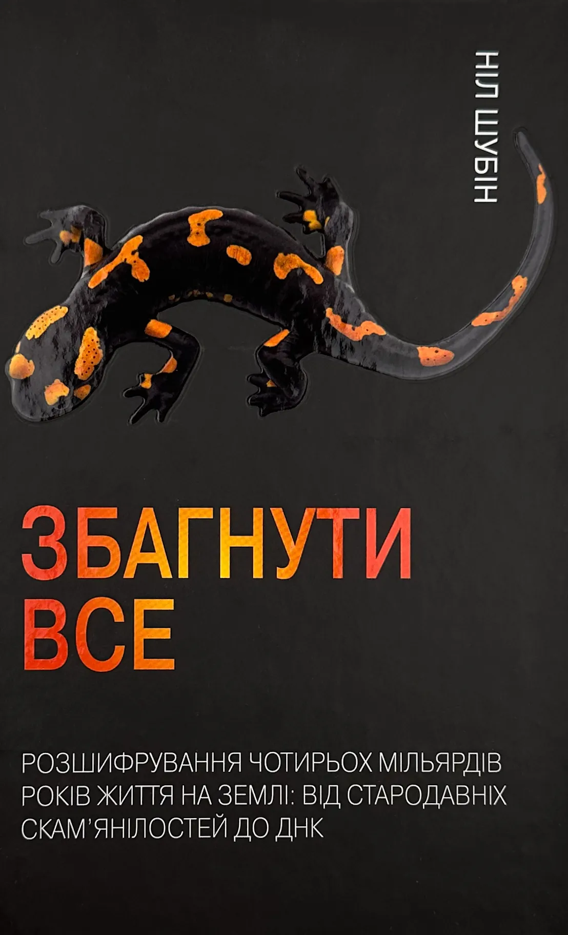 Збагнути все