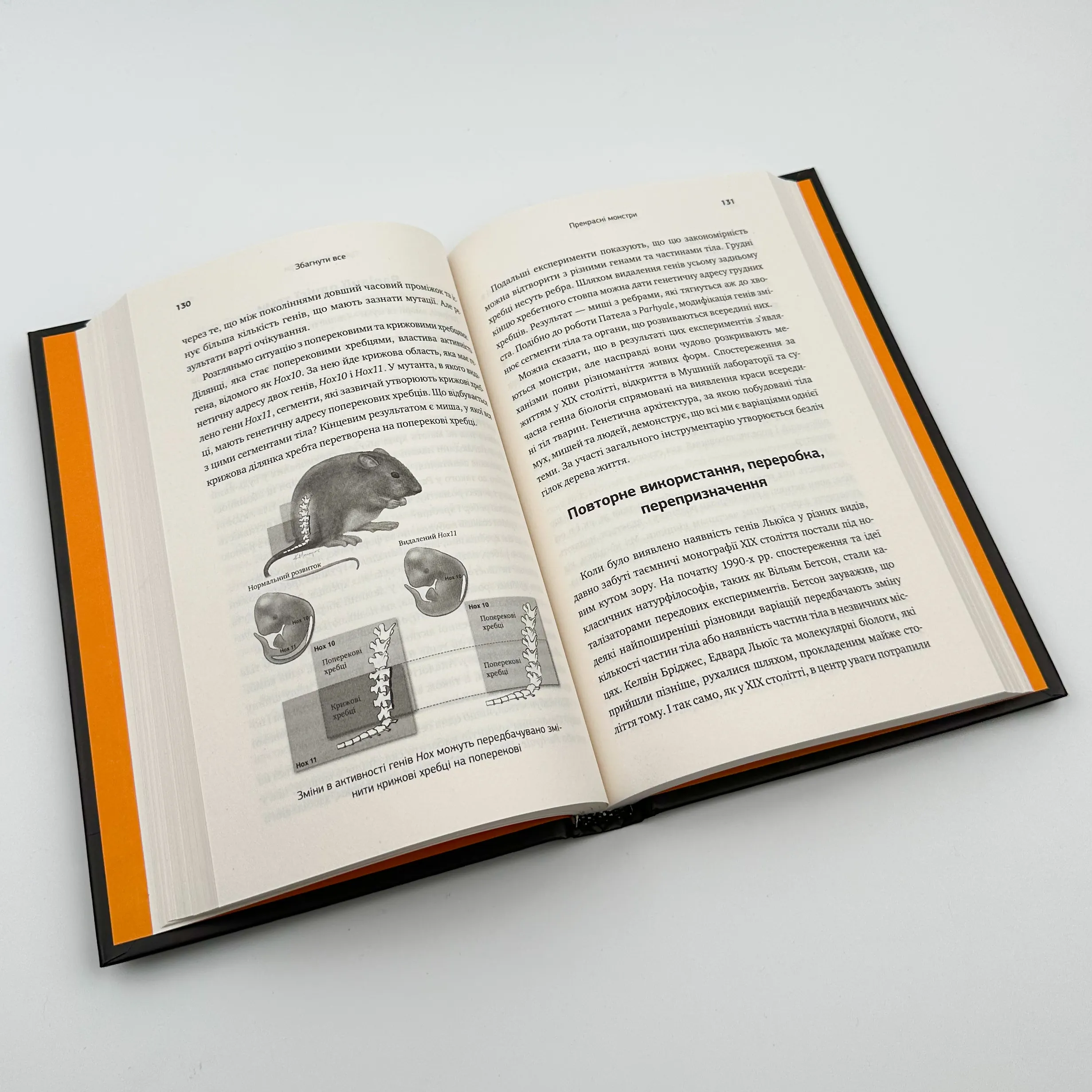 Збагнути все. Автор — Ніл Шубін. 