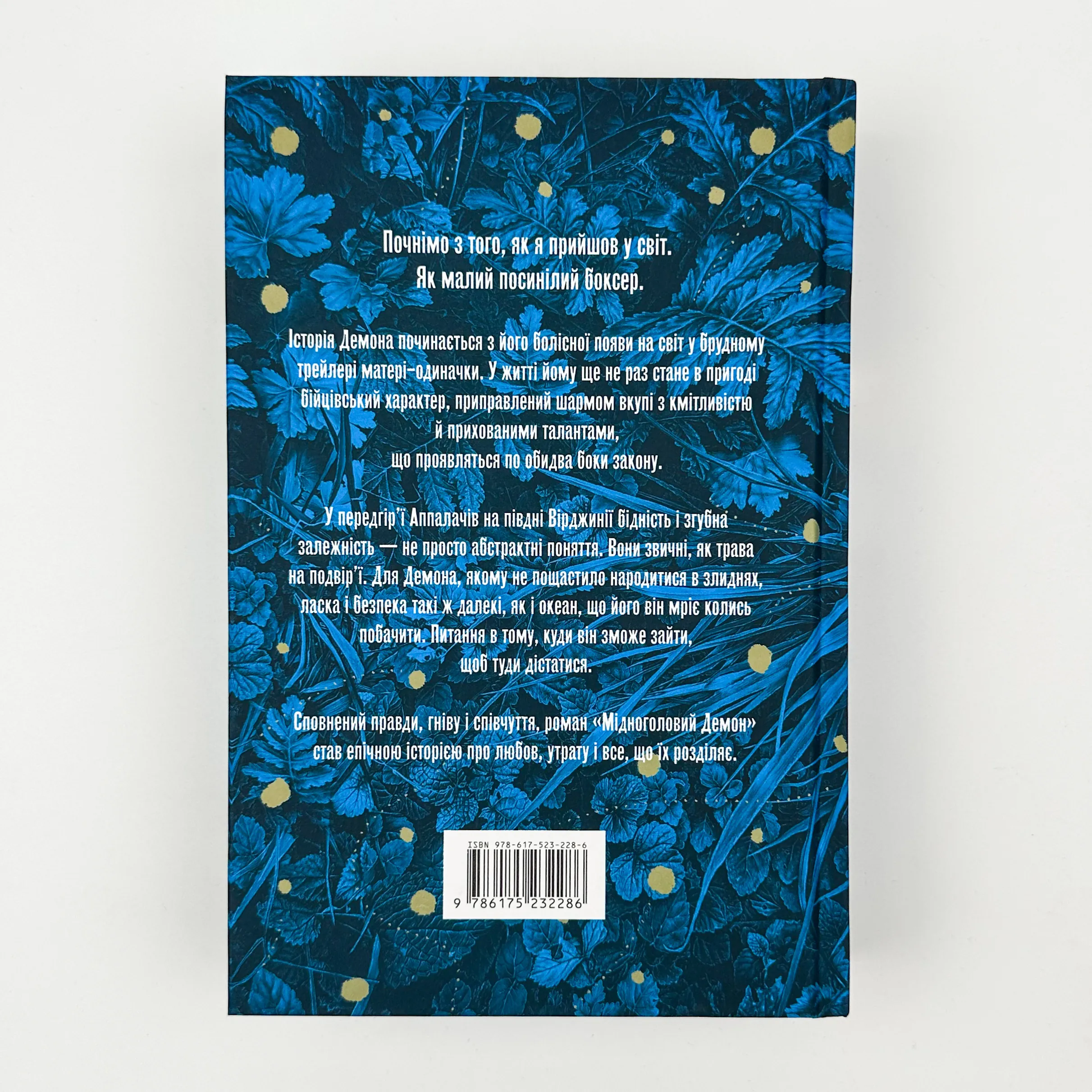 Мідноголовий демон (Limited edition). Автор — Барбара Кінґсолвер. 