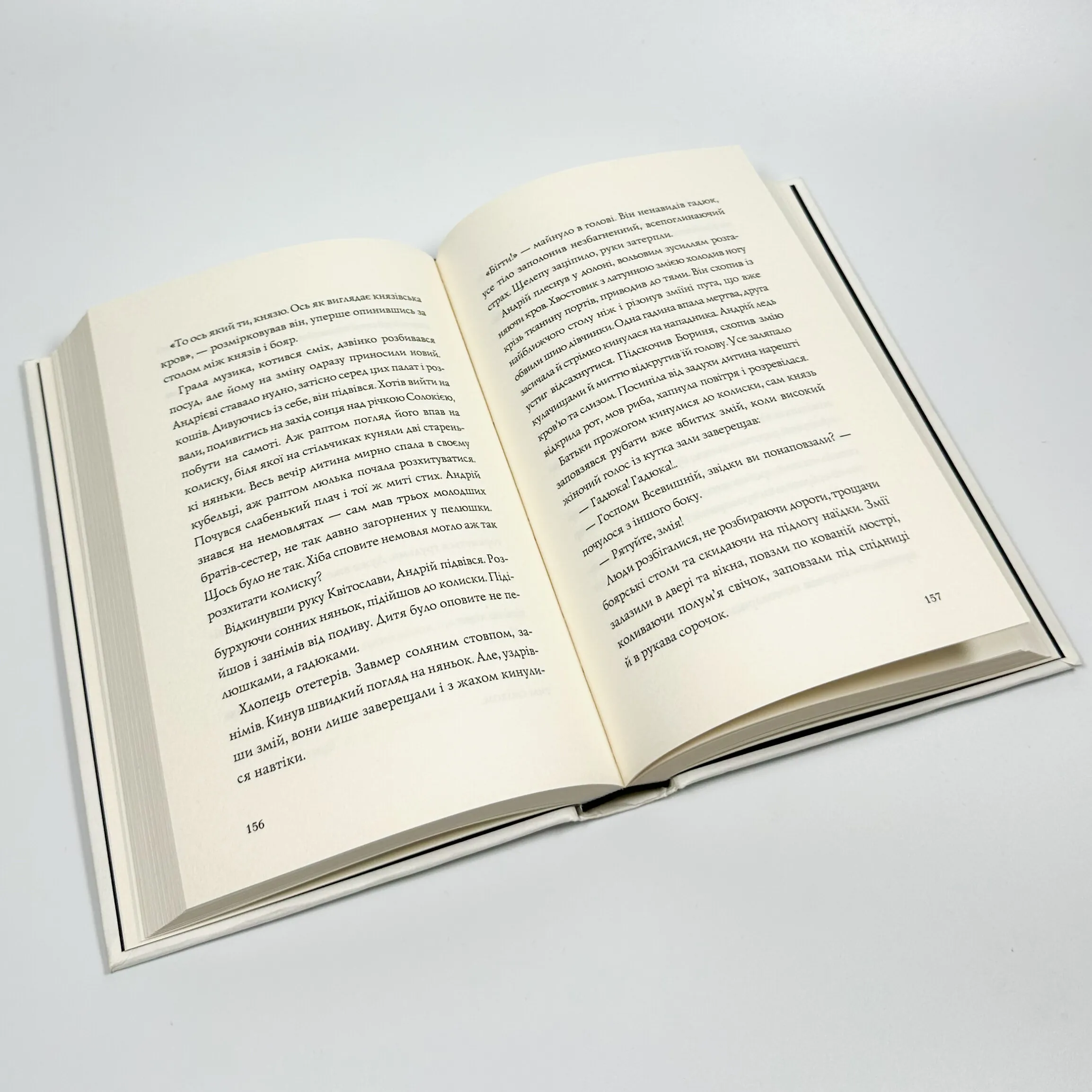 Витязь і Вірлиця. Автор — Наталія Довгопол. 