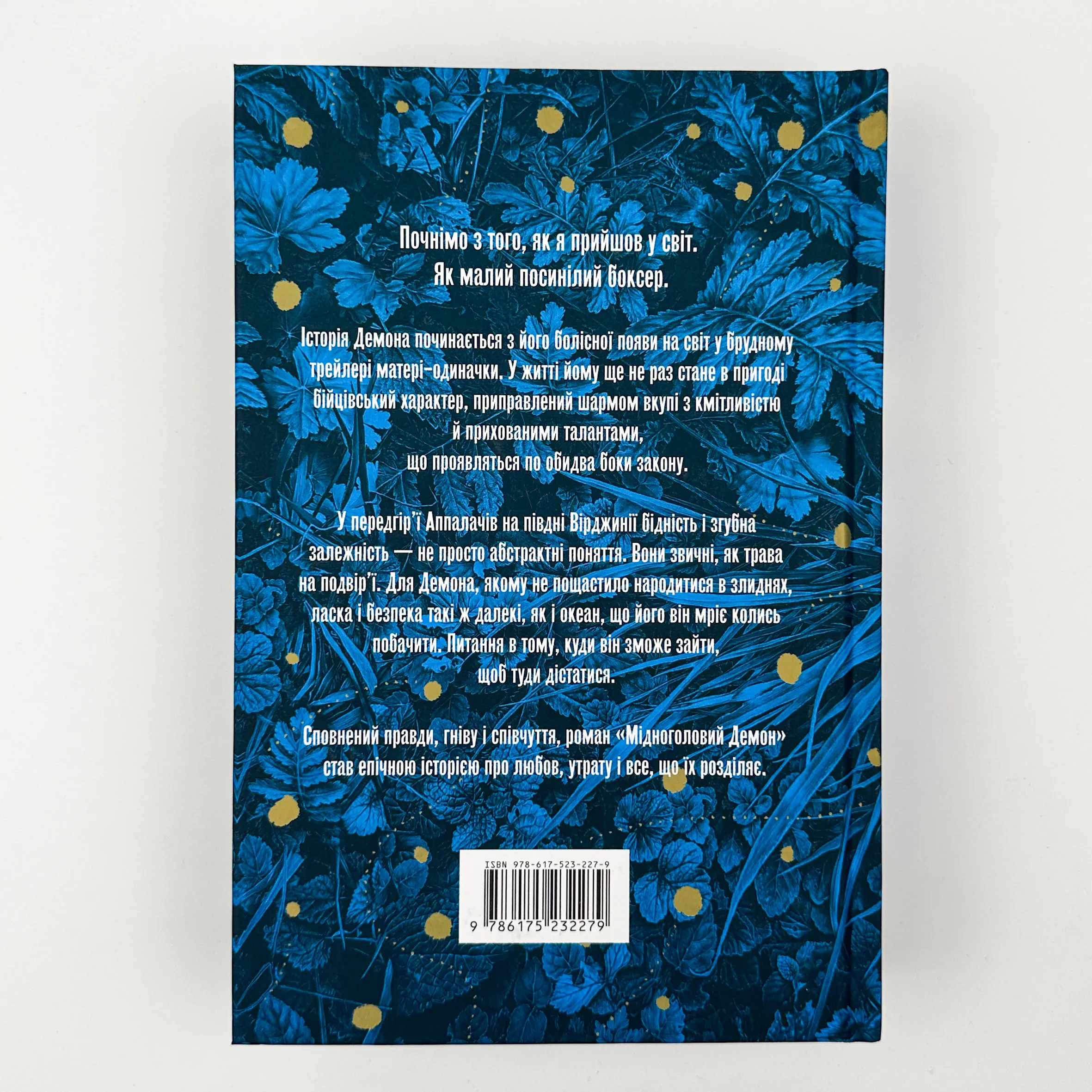 Мідноголовий демон. Автор — Барбара Кінґсолвер. 