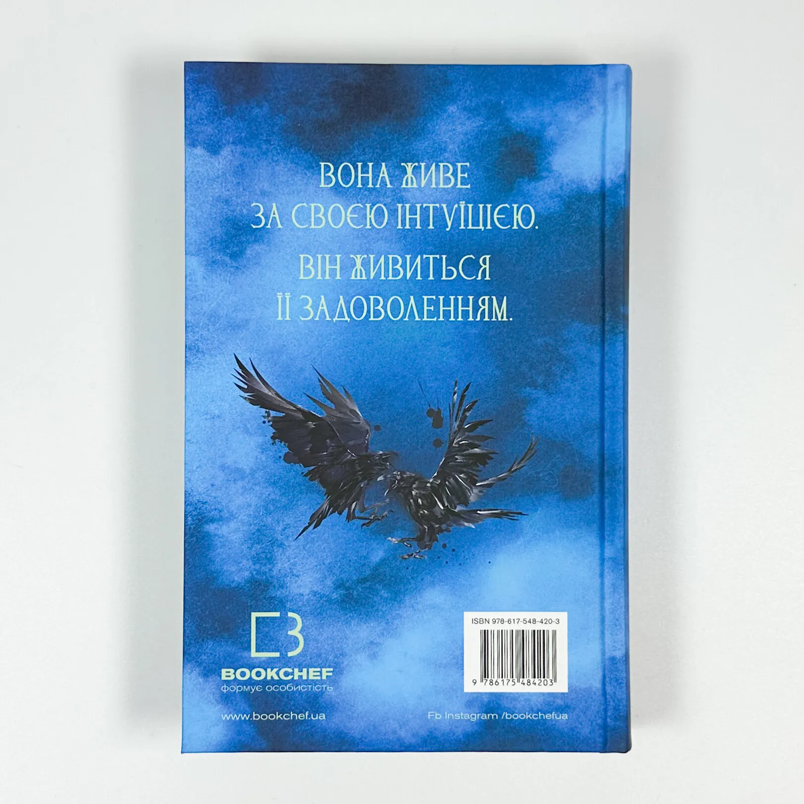 Пробудження. Книга 1. Падіння руїни та люті. Автор — Дженніфер Л. Арментраут. 