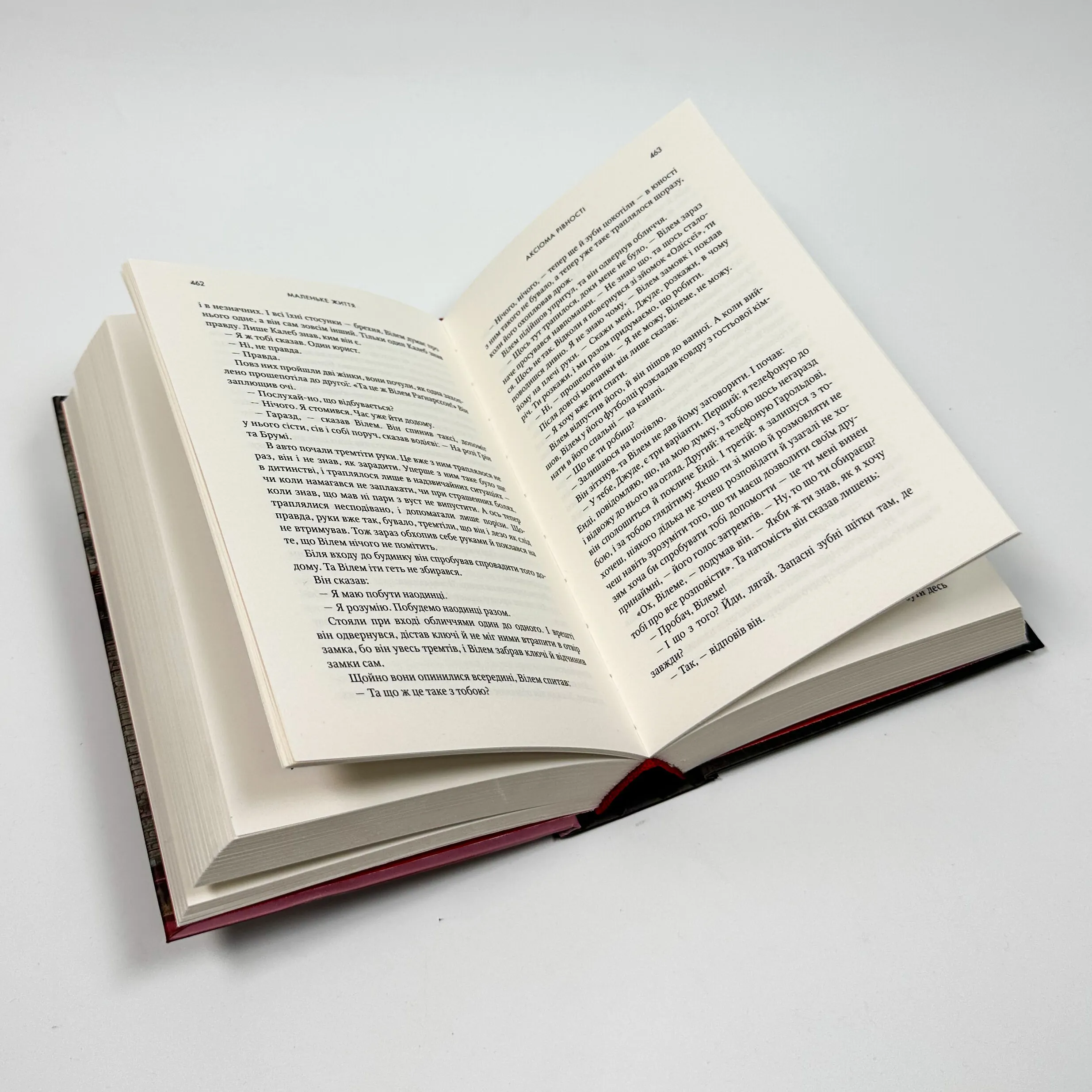 Маленьке життя. Автор — Ганья Янаґігара. 