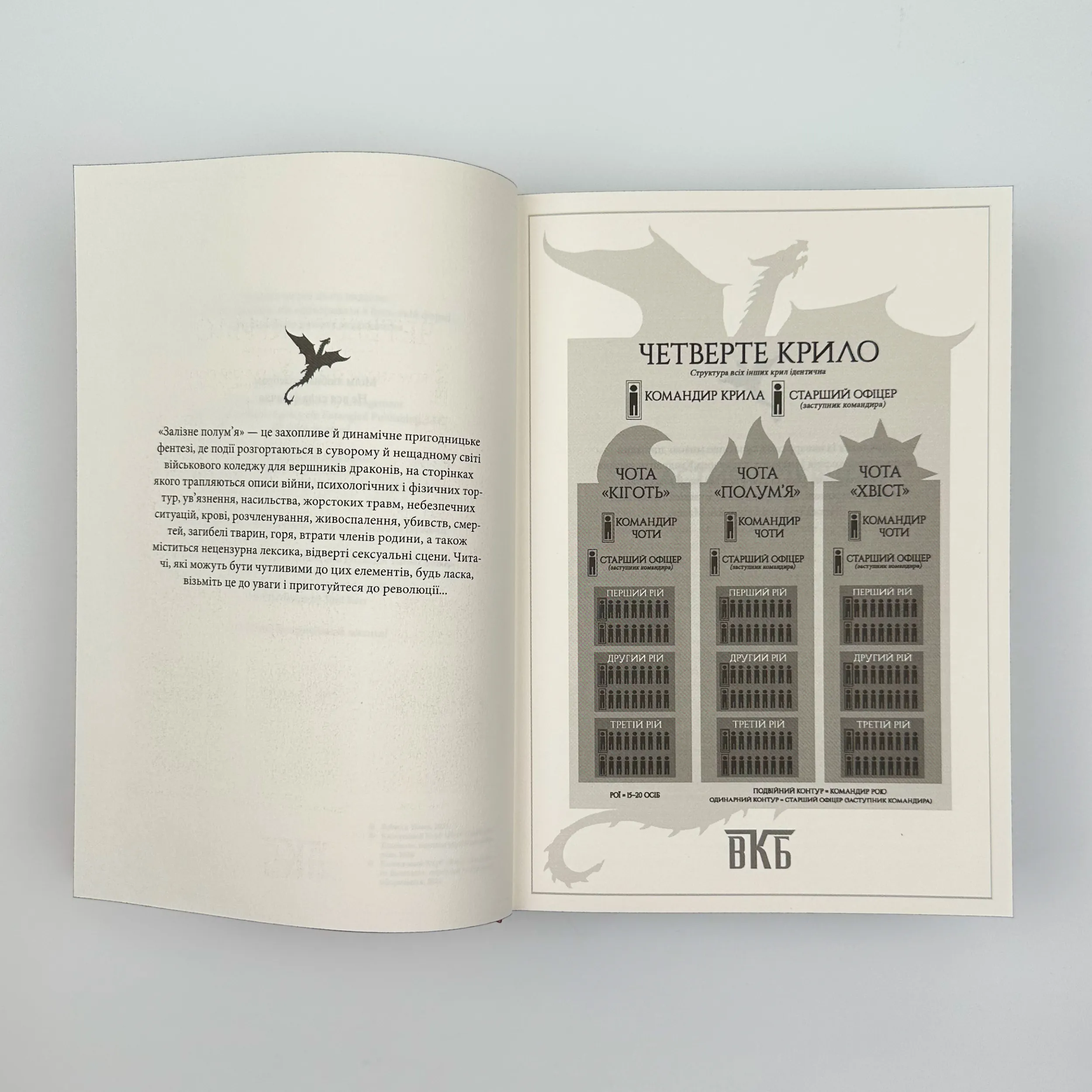 Залізне полумʼя. Автор — Ребекка Яррос. 