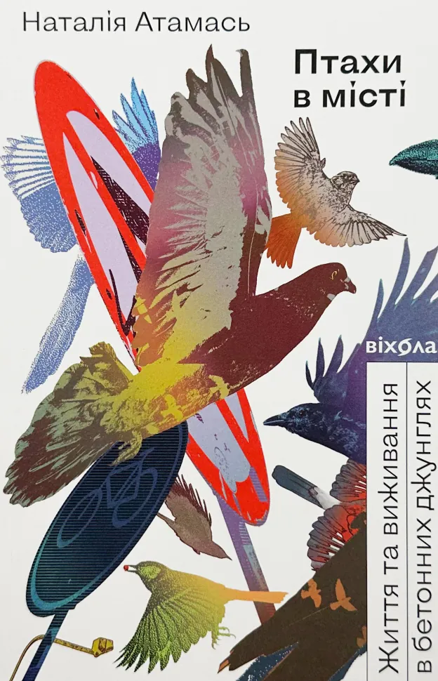 Птахи в місті. Життя та виживання в бетонних джунглях. Автор — Наталія Атамась. Обложка — с клапанами