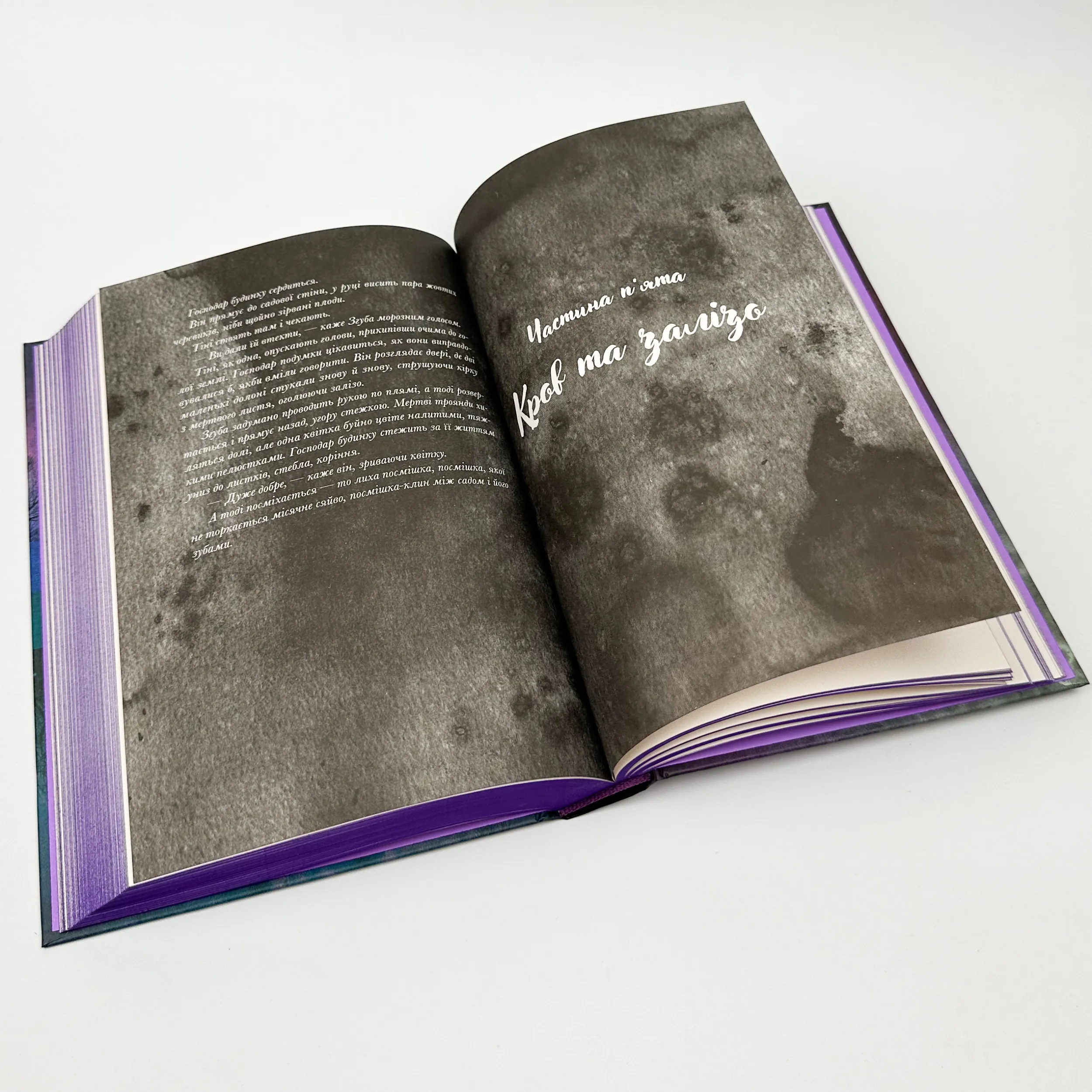 Галант. Автор — Вікторія Шваб. 