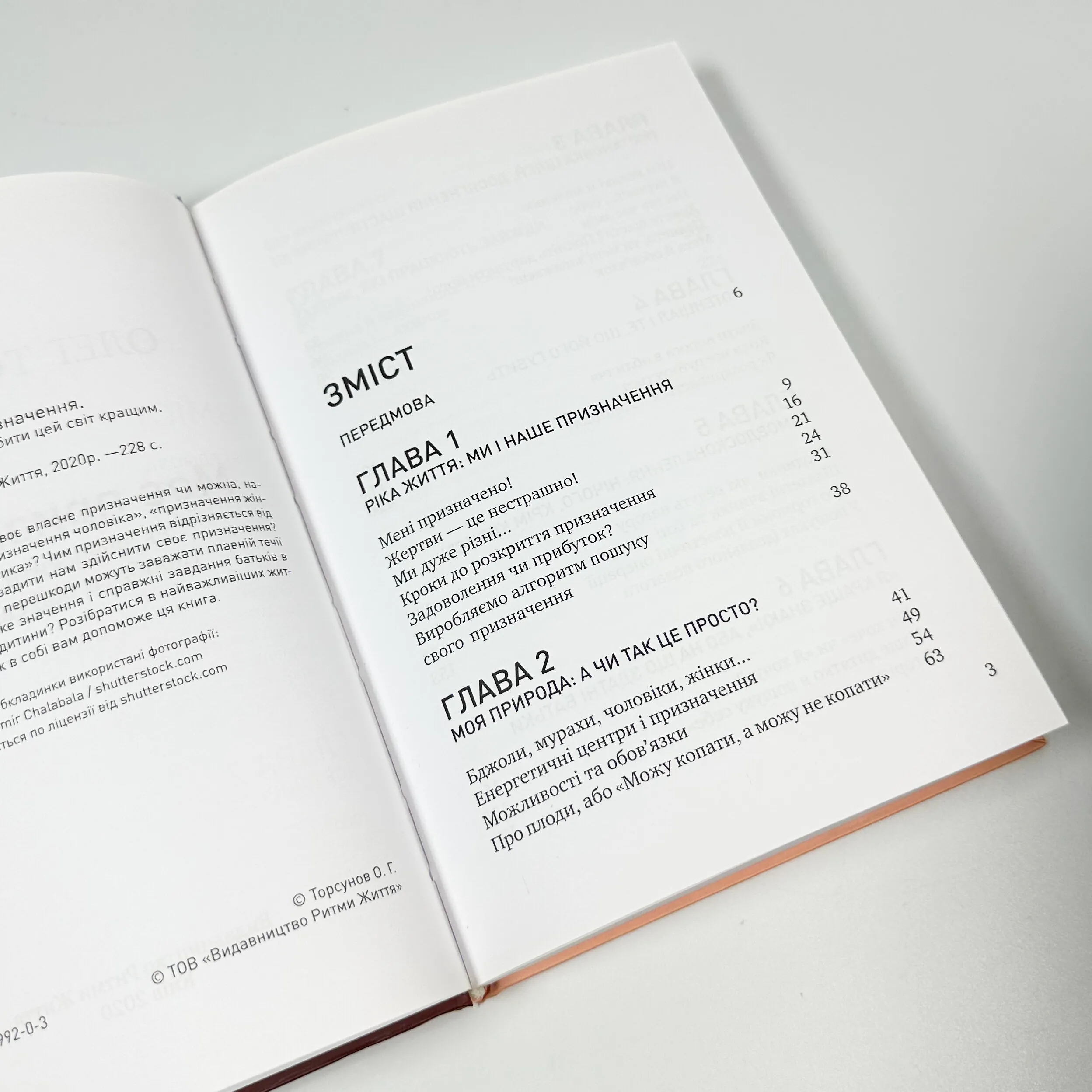 Моє призначення. Як заслужити більшого і зробити цей світ кращим