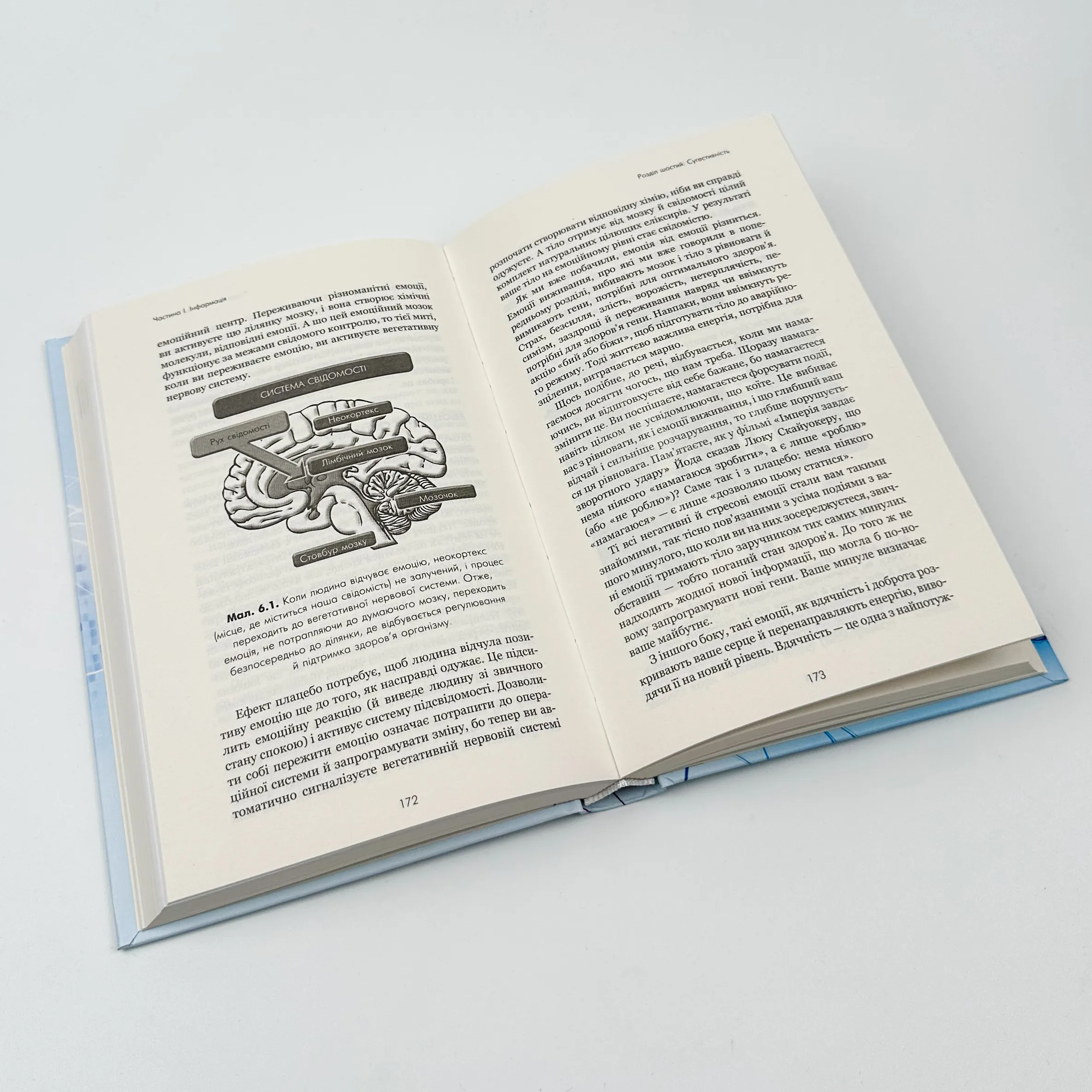 Ти сам собі плацебо. Перетвори свій розум на ліки. Автор — Джо Діспенза. 