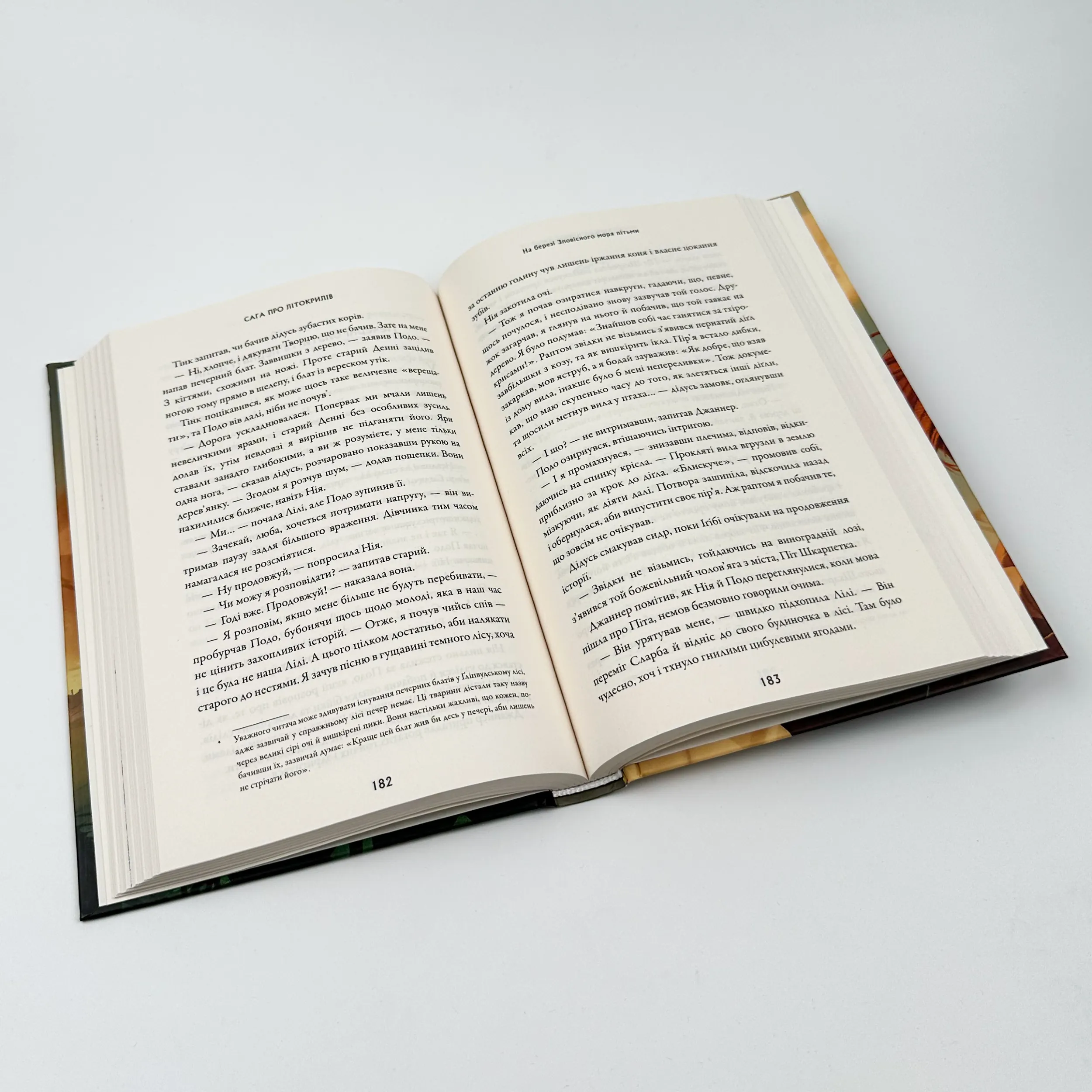 Сага про Літокрилів. Книга 1. На березі Зловісного моря пітьми. Автор — Ендрю Пітерсон. 