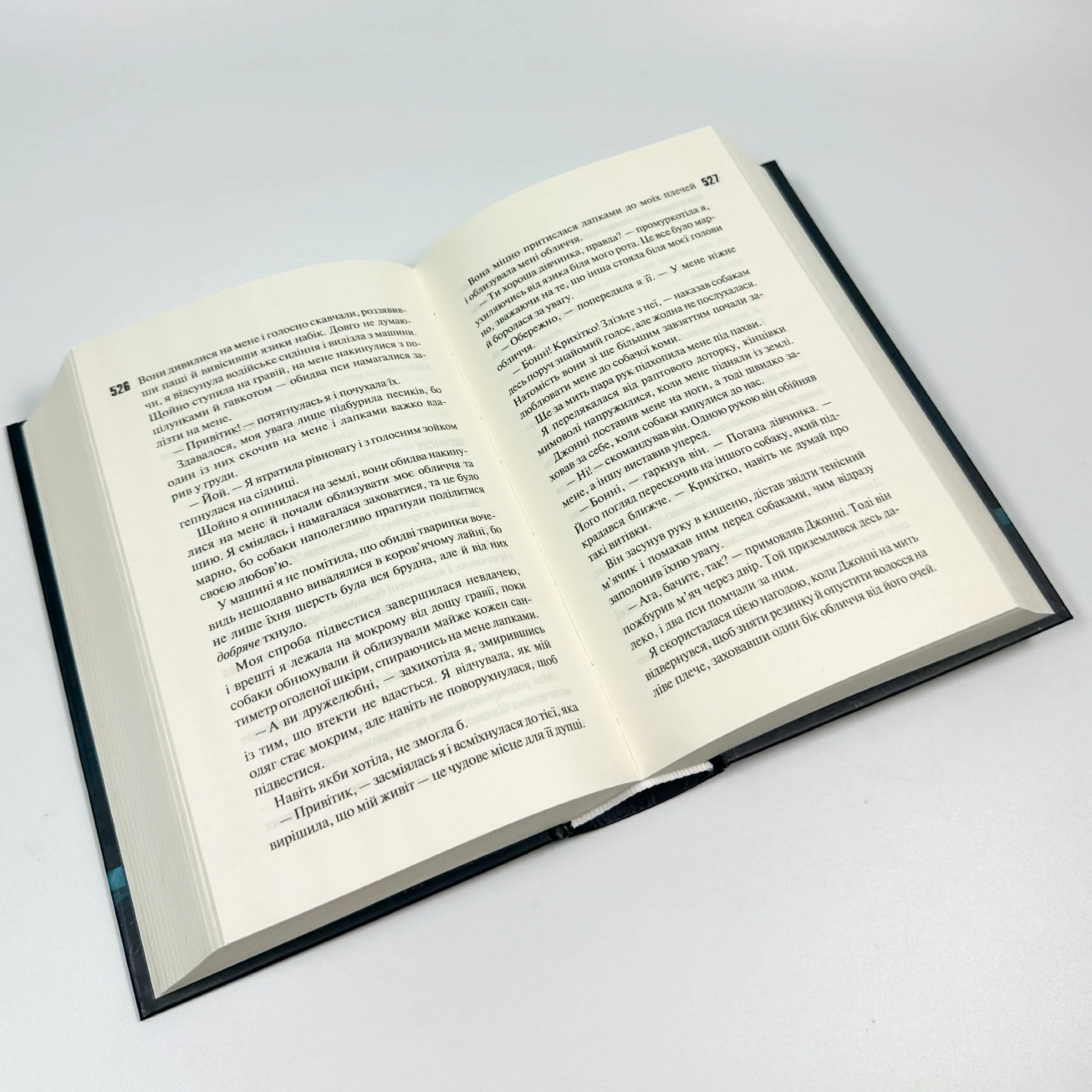 Захопити Тринадцятого. Автор — Хлої Волш. 