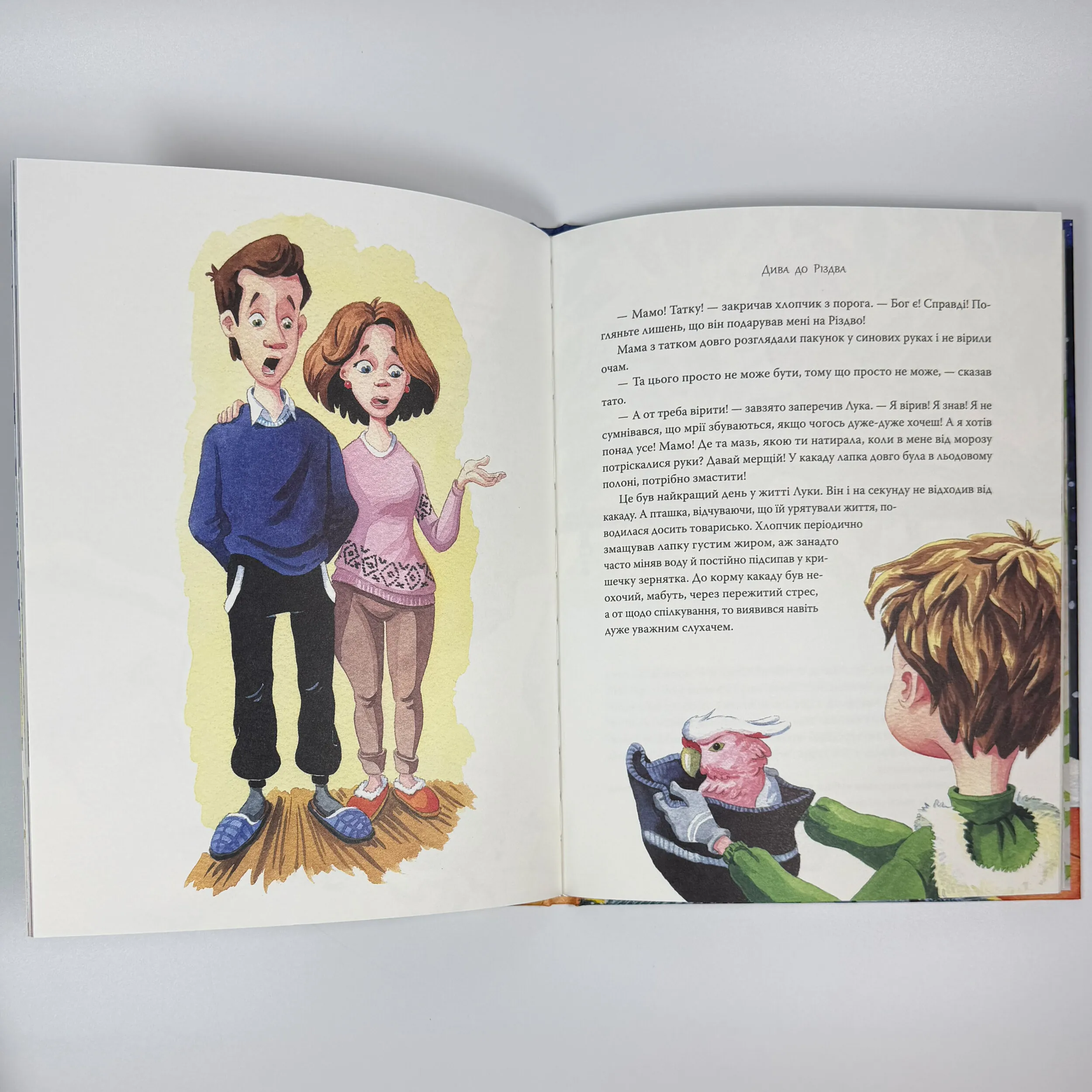 Дива до Різдва. Автор — Олеся Антонова. 