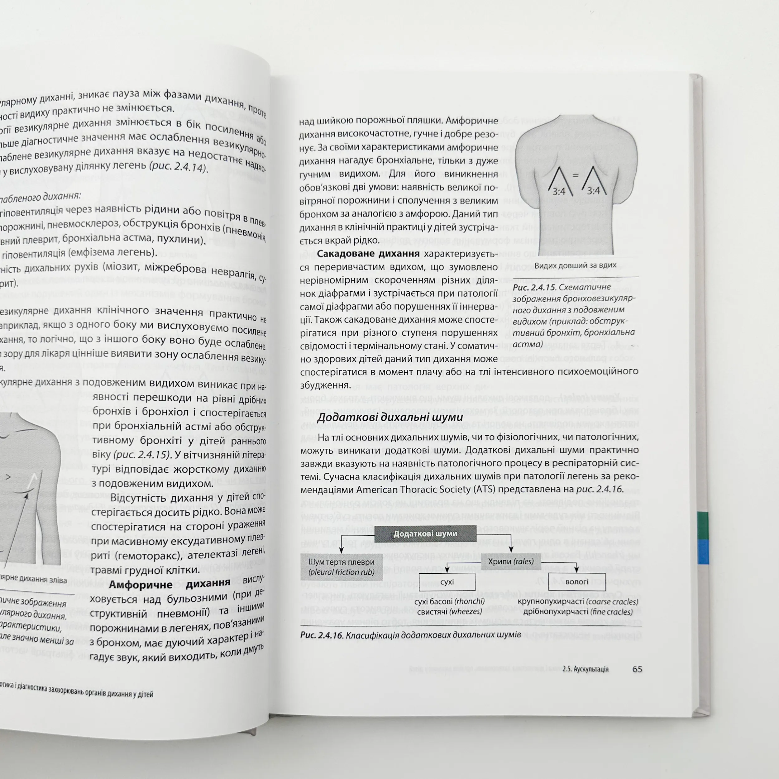 Клінічна пульмонологія дитячого віку . Автор — Катілов О.. 