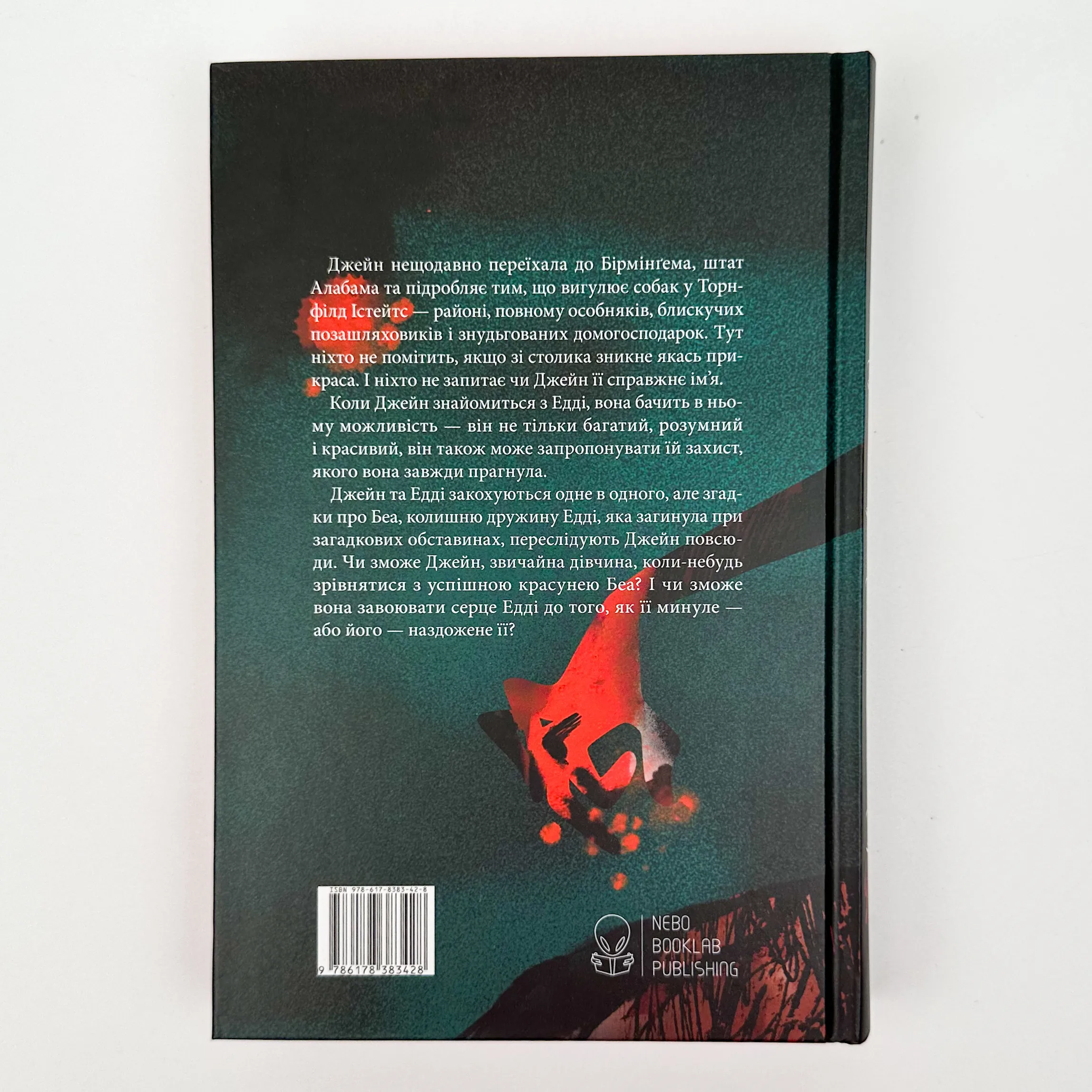 Дружина із горішнього поверху. Автор — Рейчел Гокінс. 