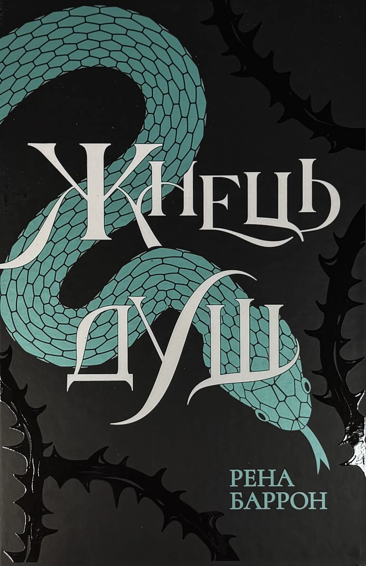 Королівство душ. Жнець душ. Книга 2