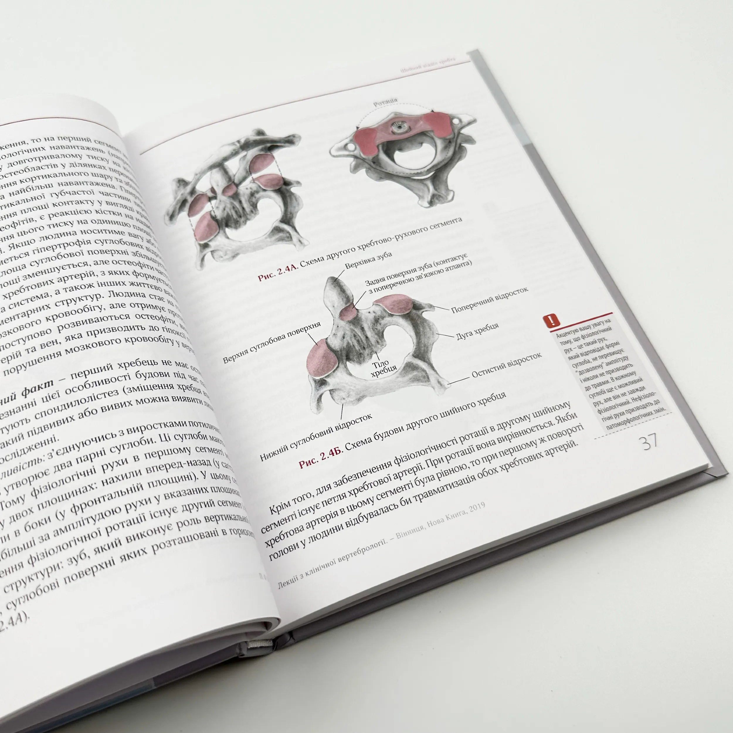 Лекції з клінічної вертебрології. Автор — Колісник П.Ф.. 