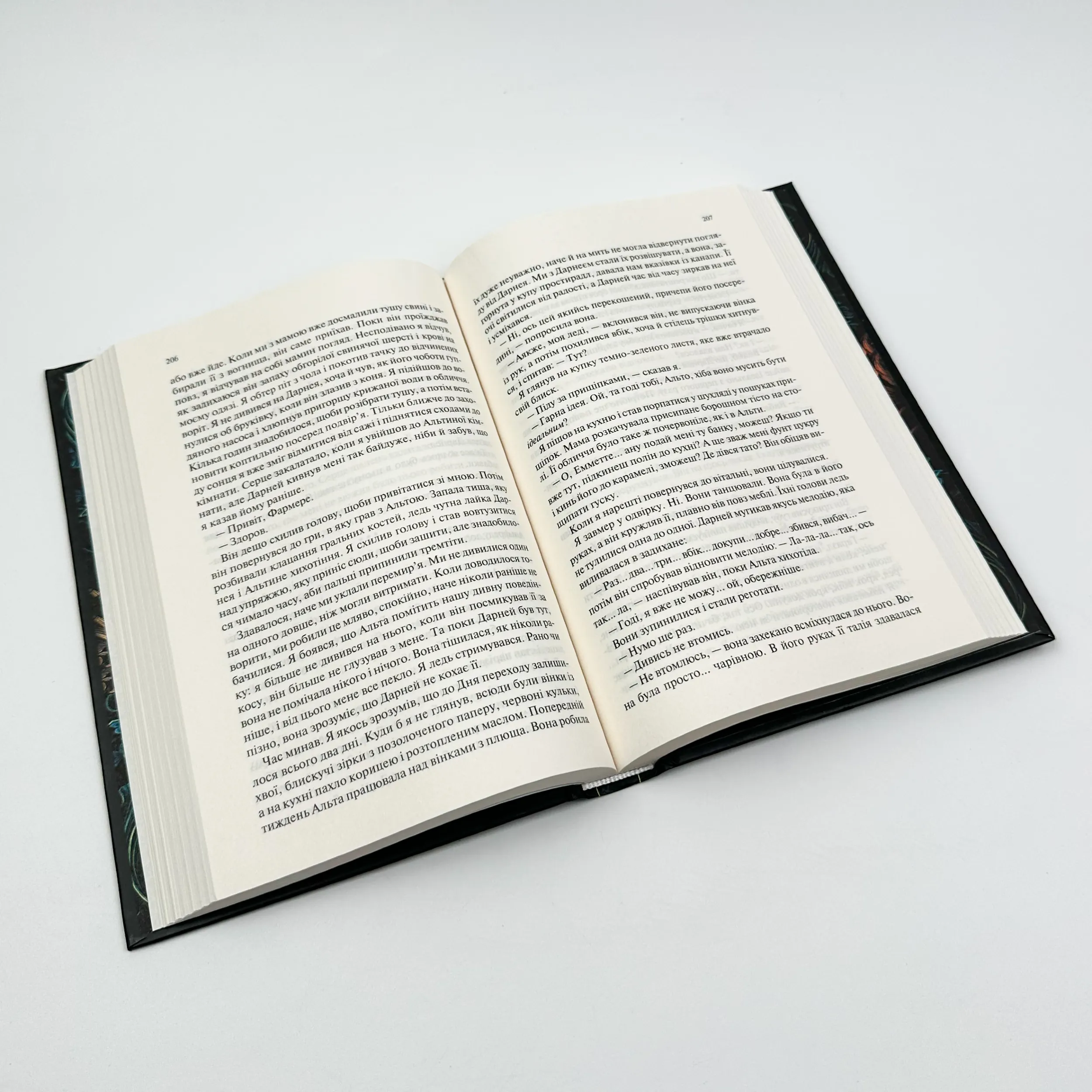 Палітурник. Автор — Бріджит Коллінз. 