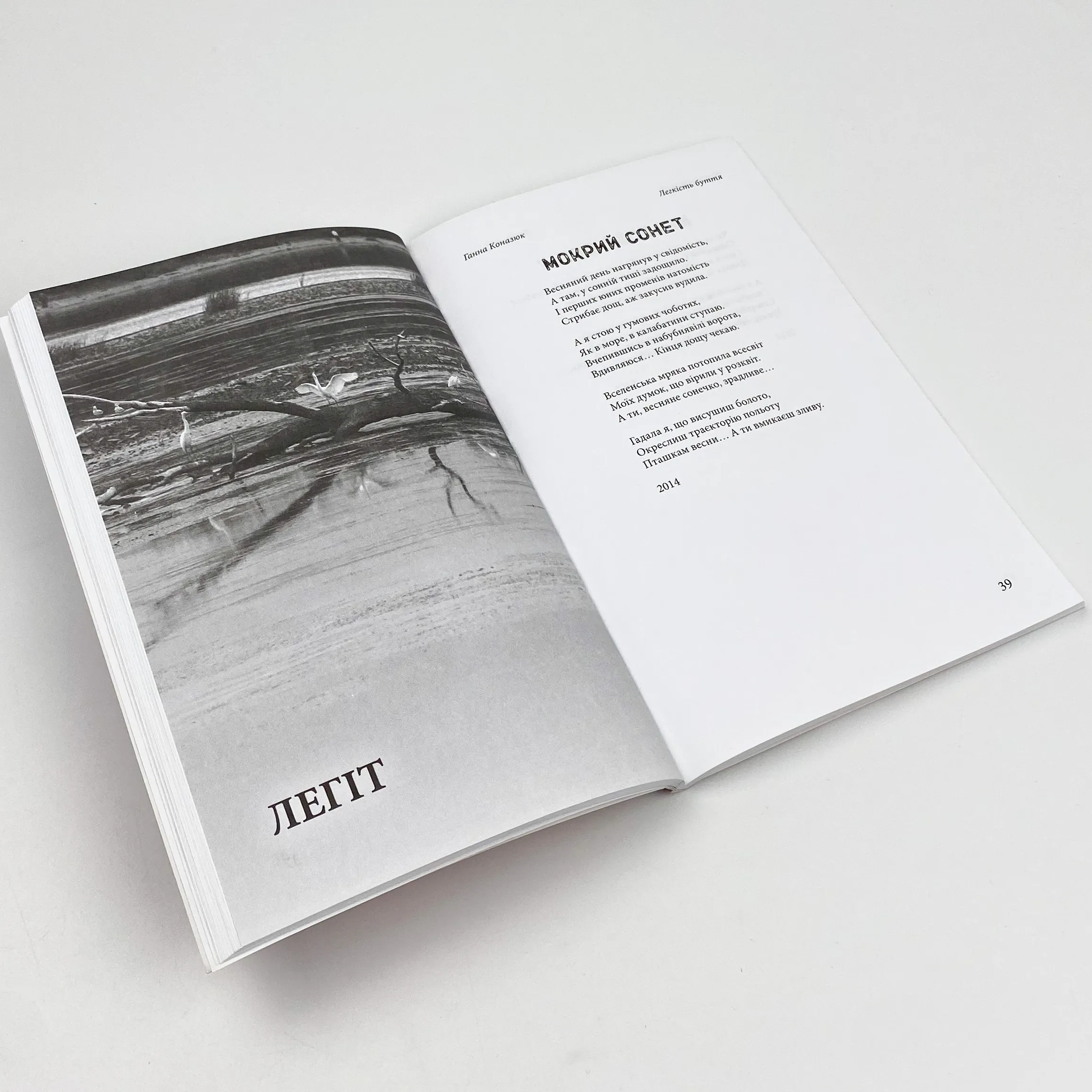 Легкість буття. Автор — Ганна Коназюк. 