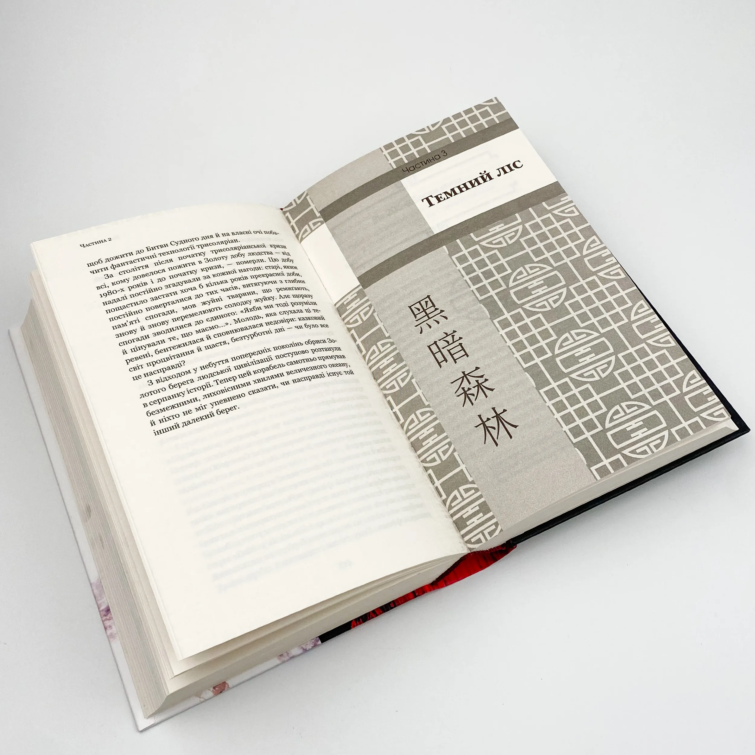 Темний ліс. Автор — Лю Цисінь. 