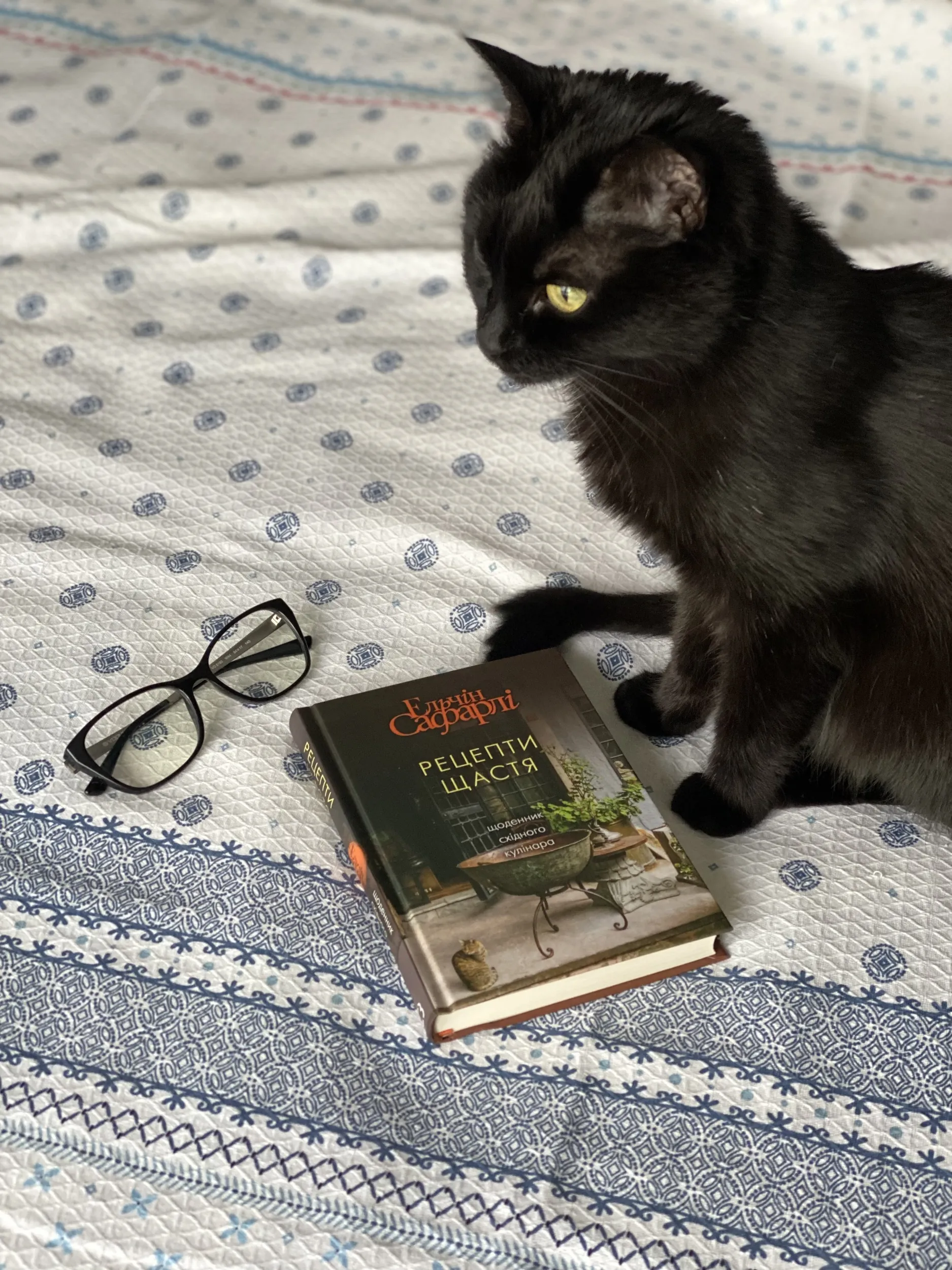 Рецепти щастя. Щоденник східного кулінара. Автор — Ельчин Сафарлі. 