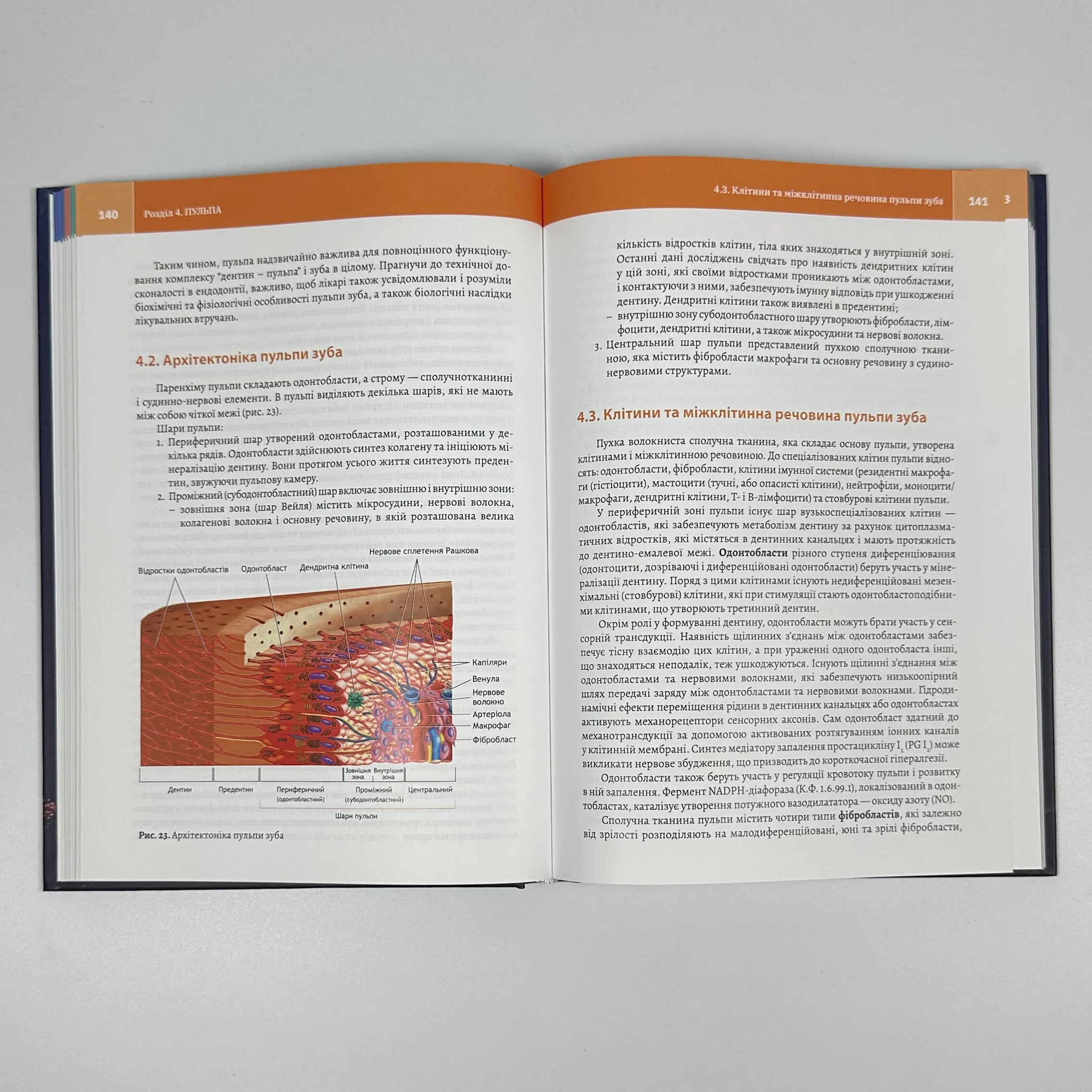 Клінічна біохімія тканин зуба і пародонта. Автор — А.О. Микитенко. 