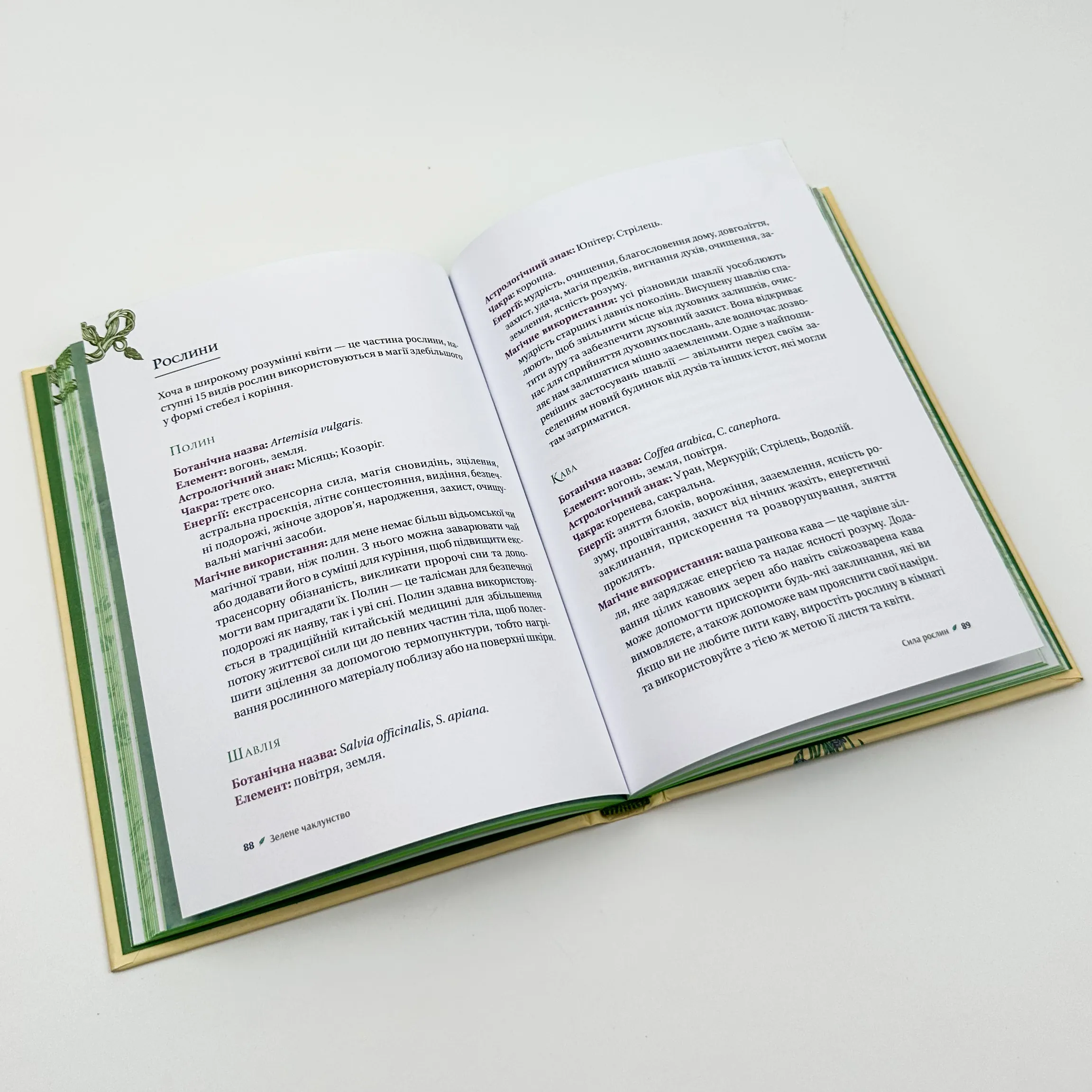 Зелене чаклунство. Як відкрити для себе магію квітів, трав, дерев, кристалів тощо. Автор — Пейдж Вандербек. 