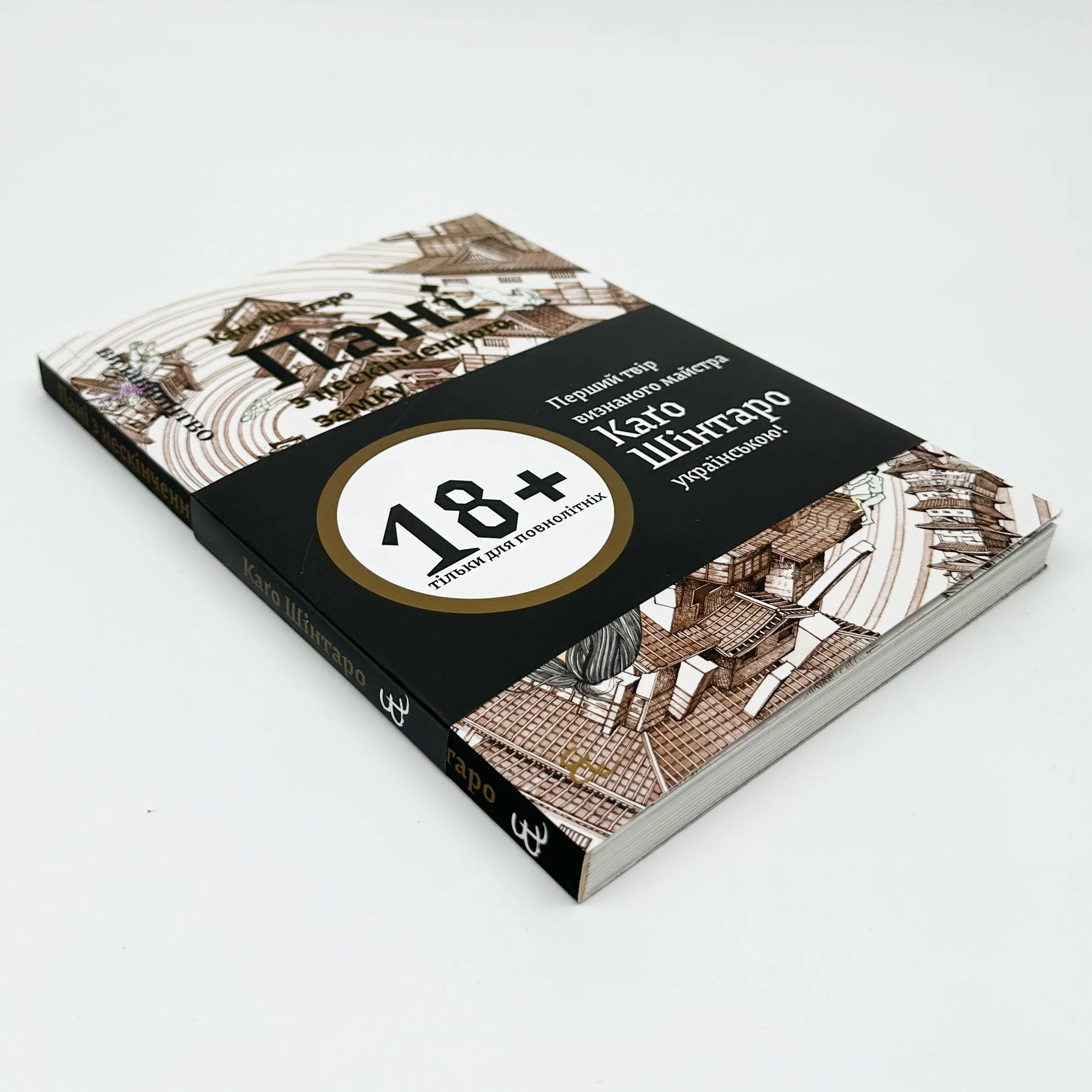 Пані з нескінченного замку