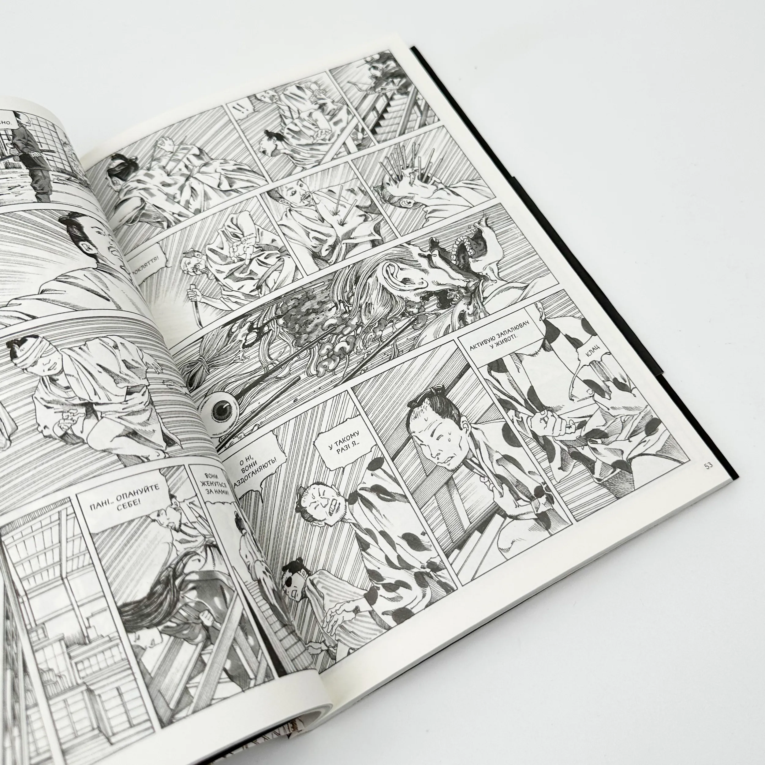 Пані з нескінченного замку. Автор — Каґо Шінтаро. 