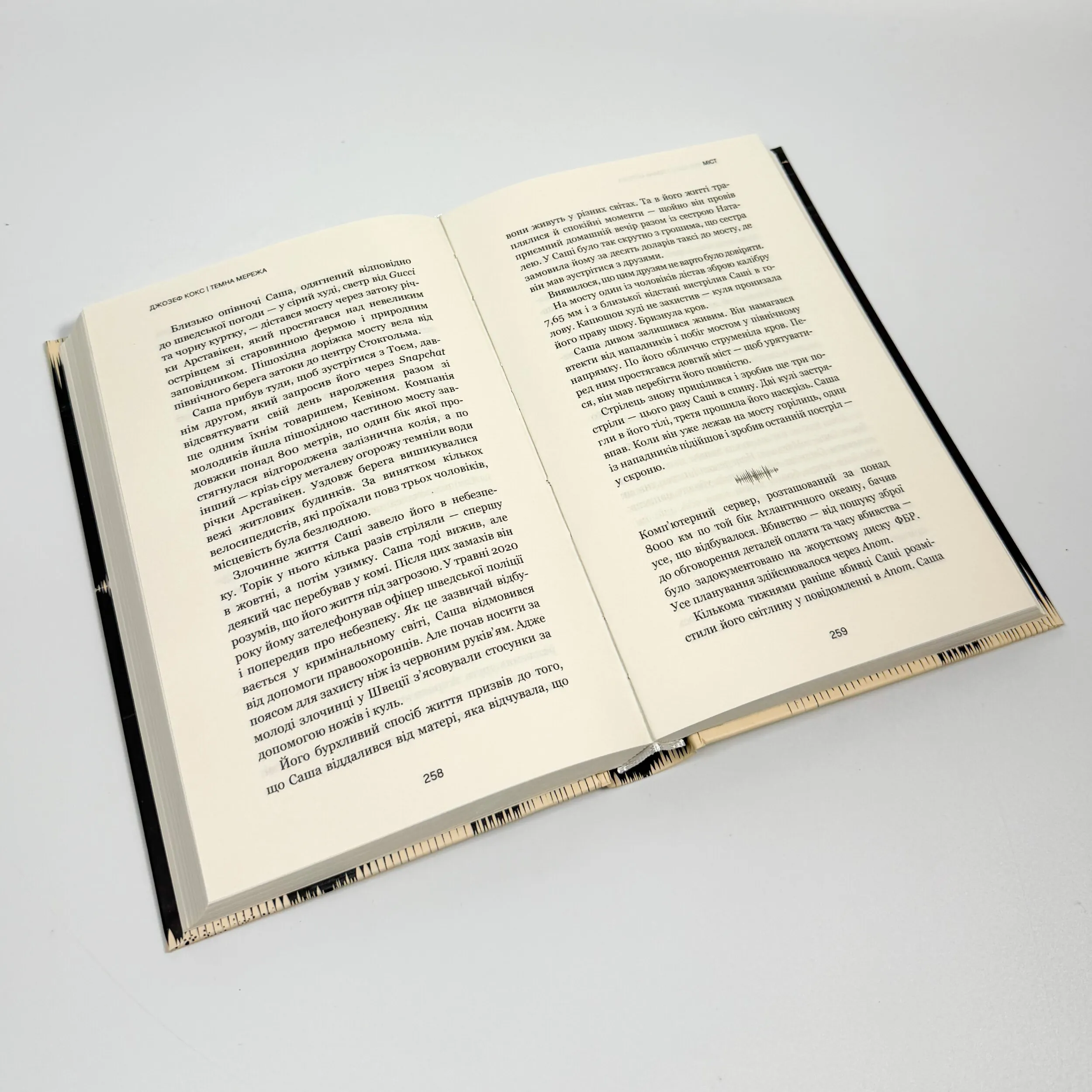 Темна мережа. Неймовірна й реальна історія наймасштабнішої спецоперації у світі. Автор — Джозеф Кокс. 